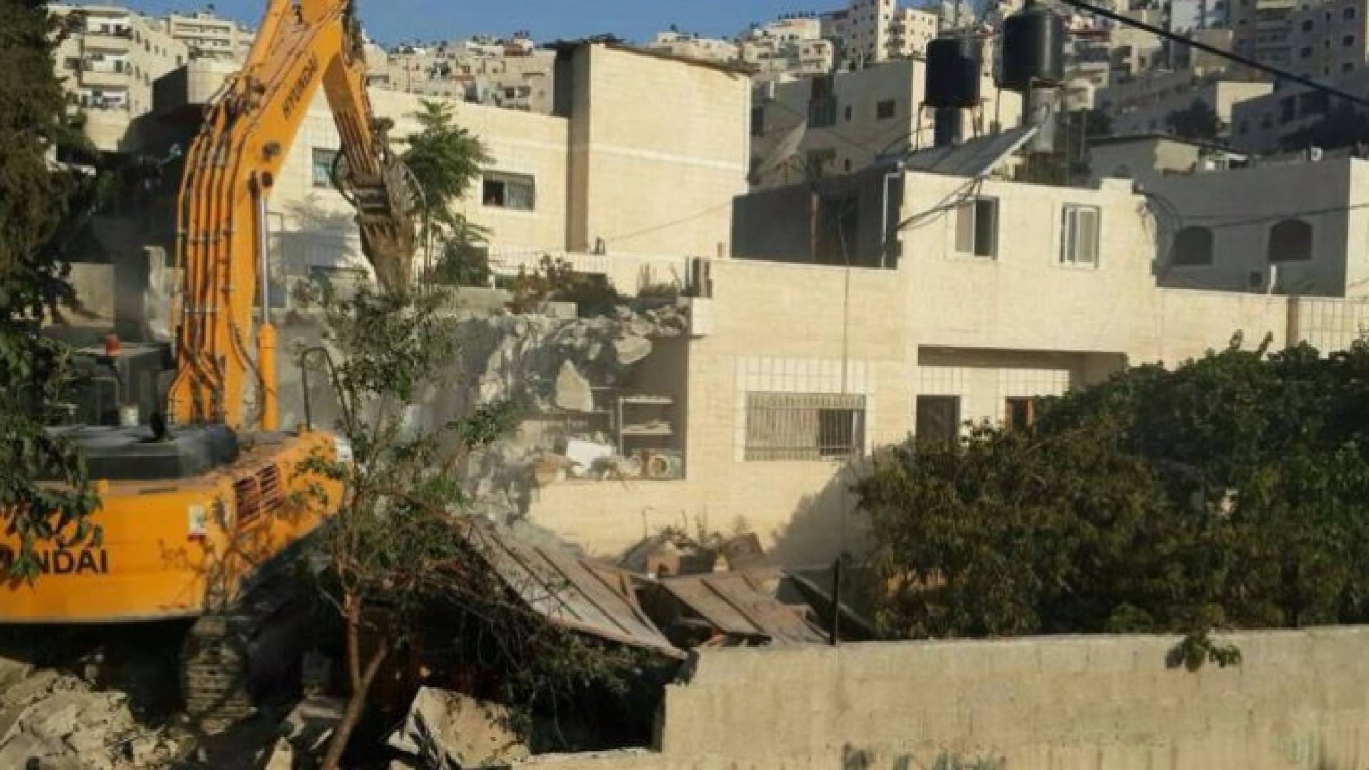 ارشيفية