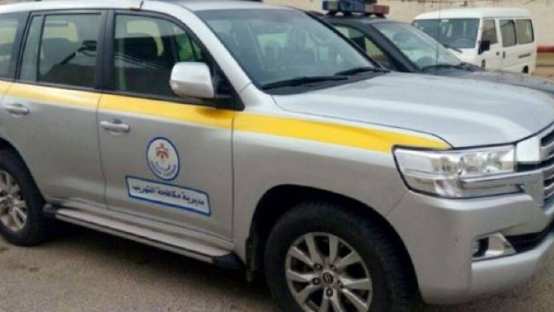 ارشيفية