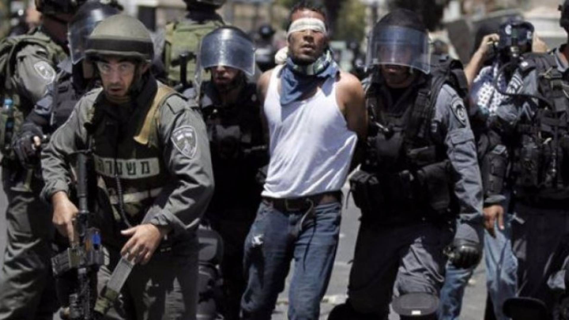 ارشيفية