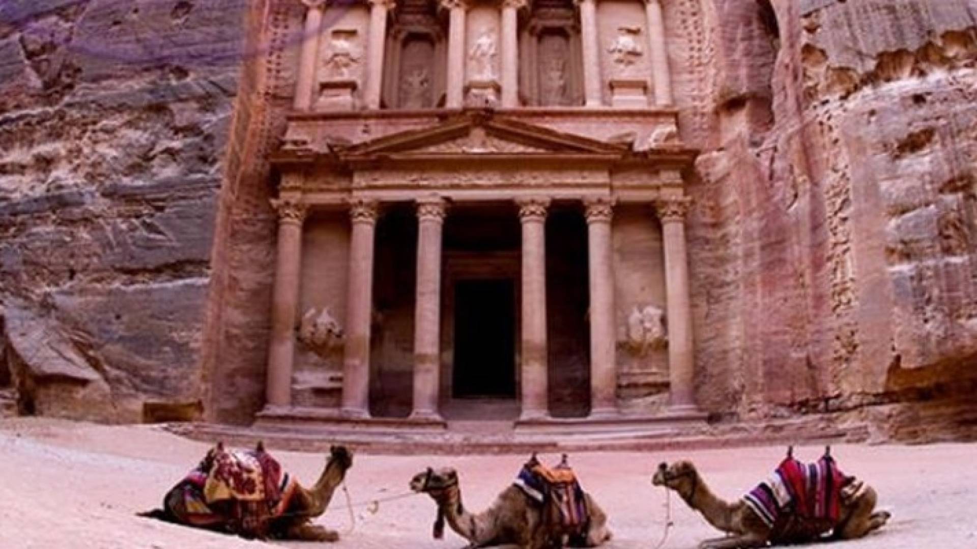 ارشيفية