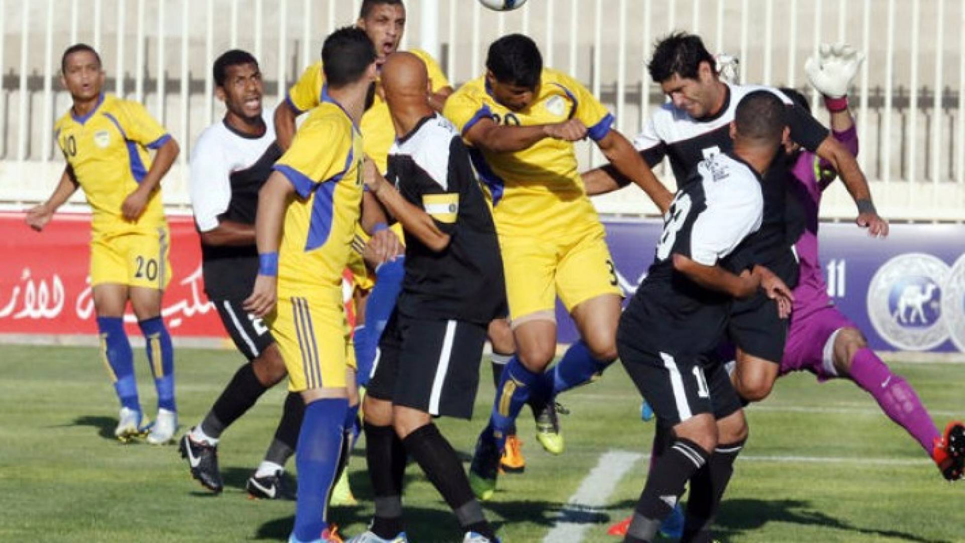ارشيفية