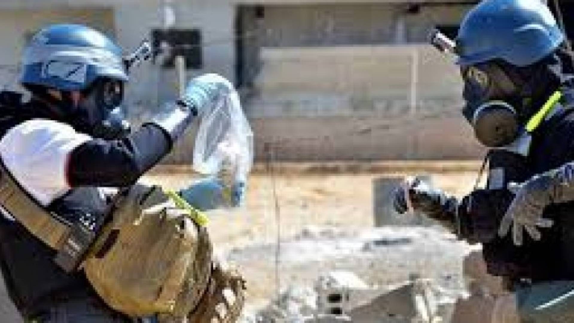 ارشيفية