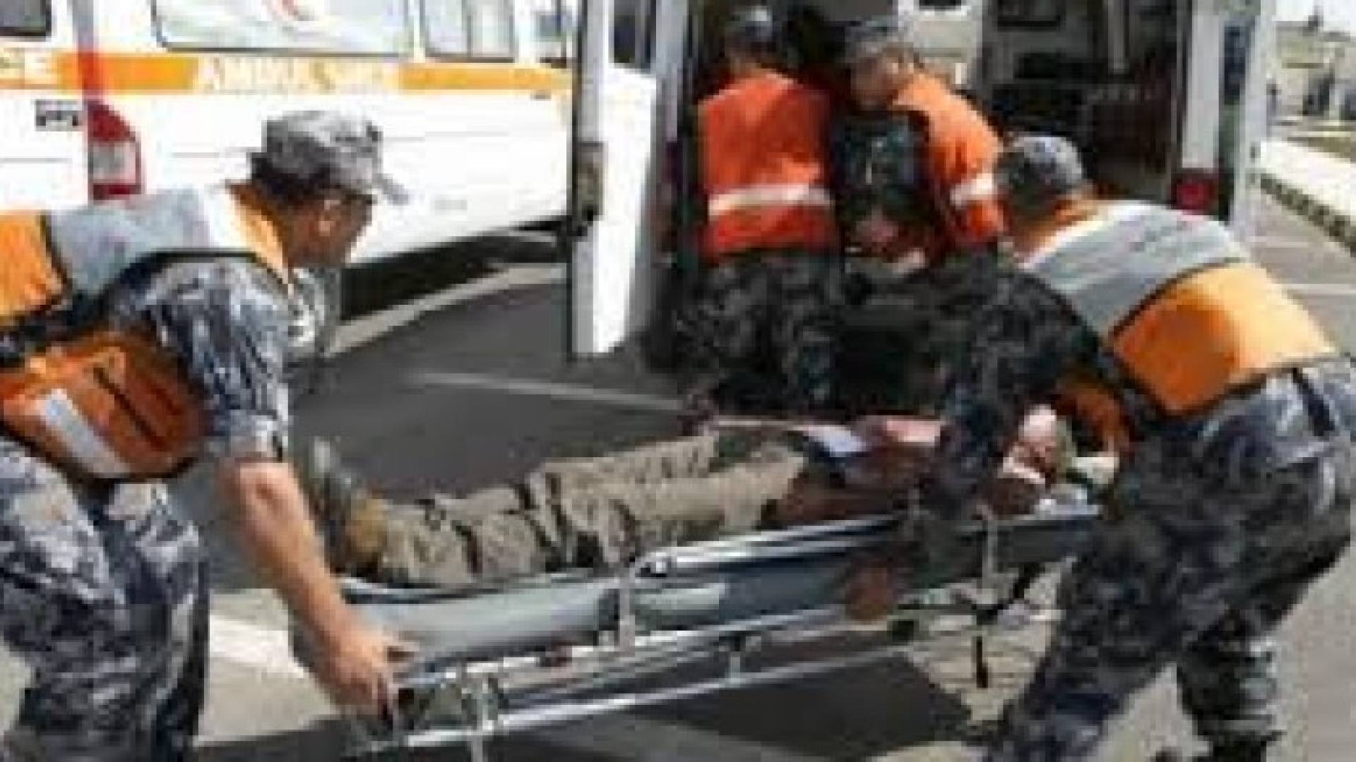 ارشيفية
