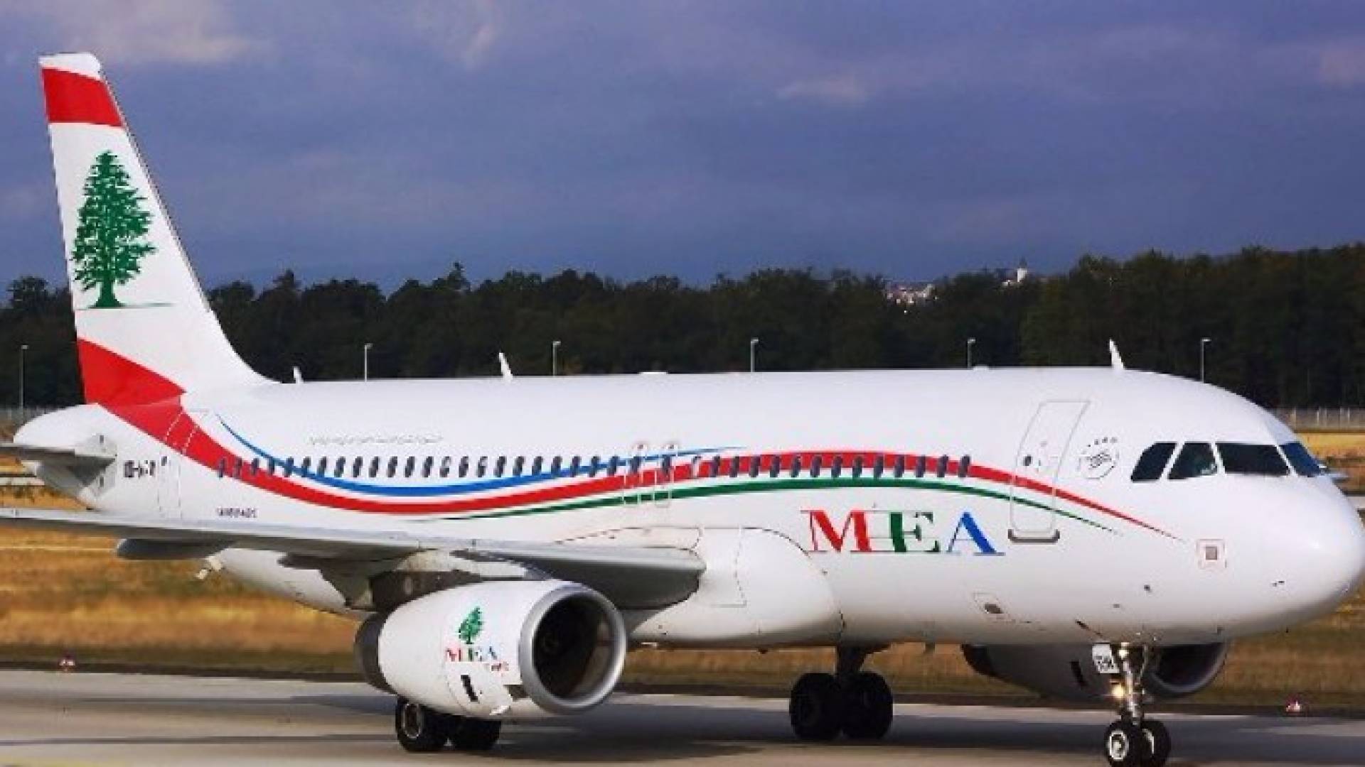 ارشيفية