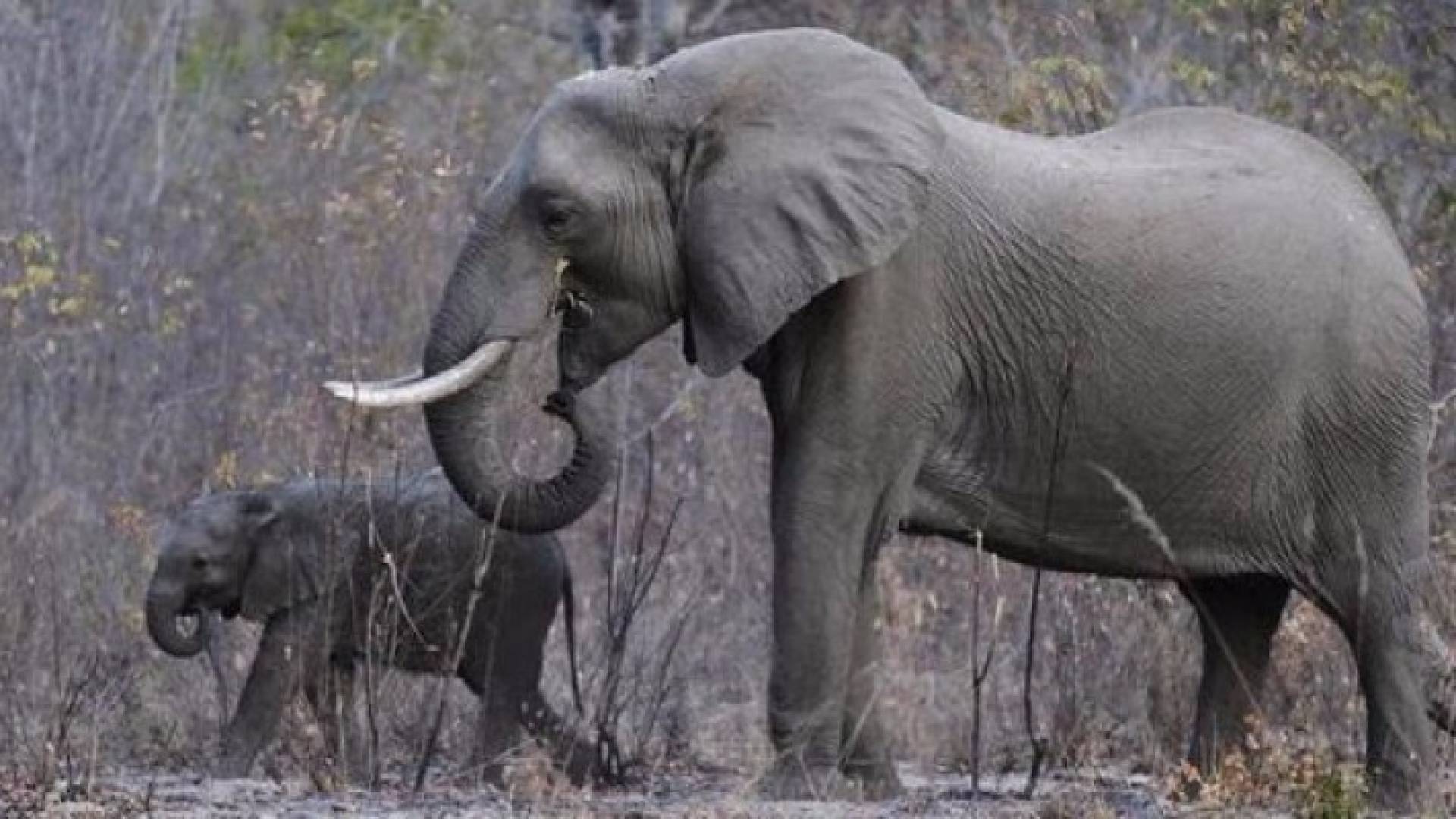 الصورة تعبيرية