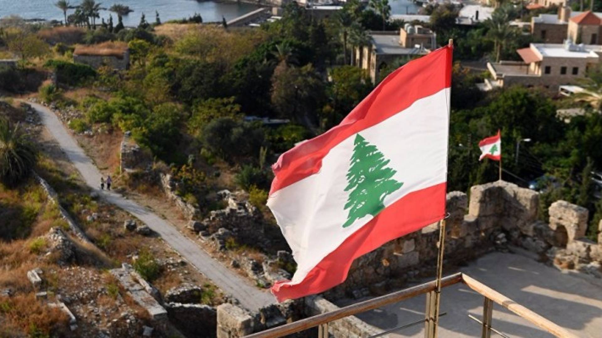 ارشيفية
