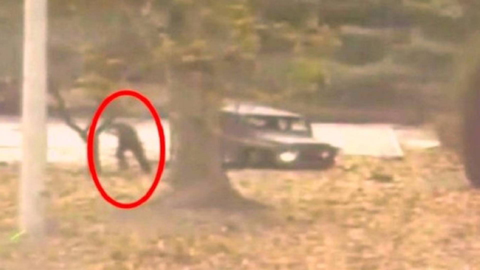 جانب من الفيديو