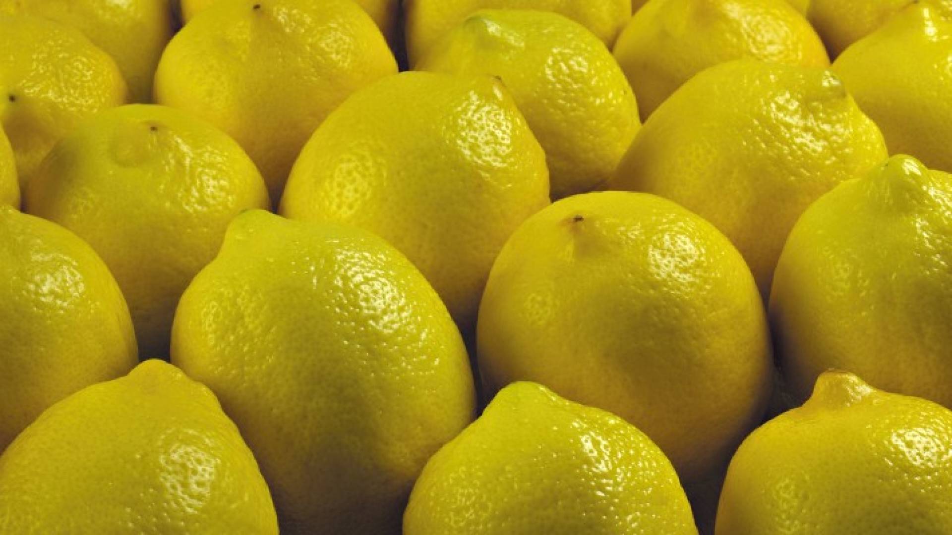تعبيرية - ليمون 