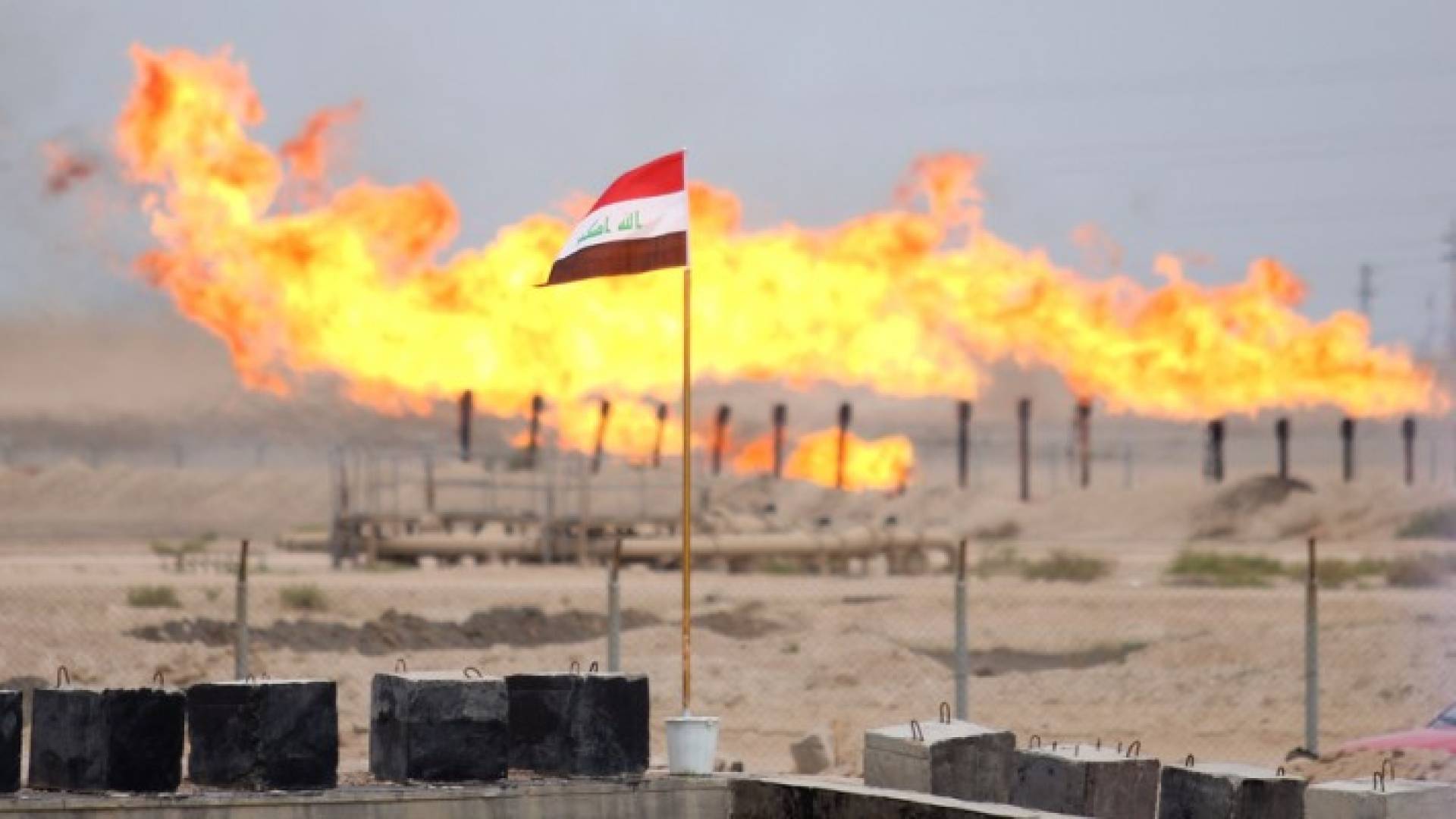 ارشيفية