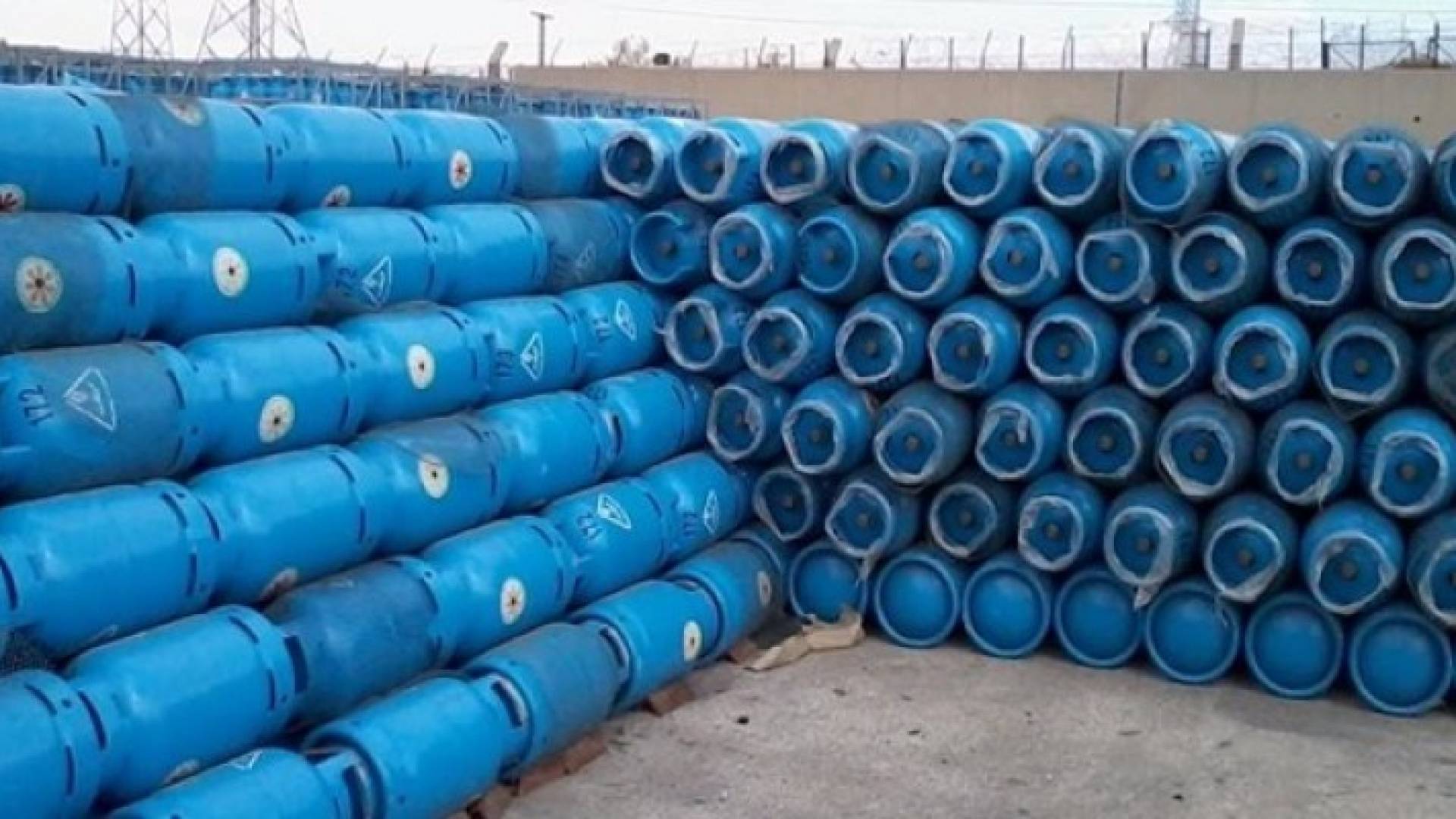 ارشيفية