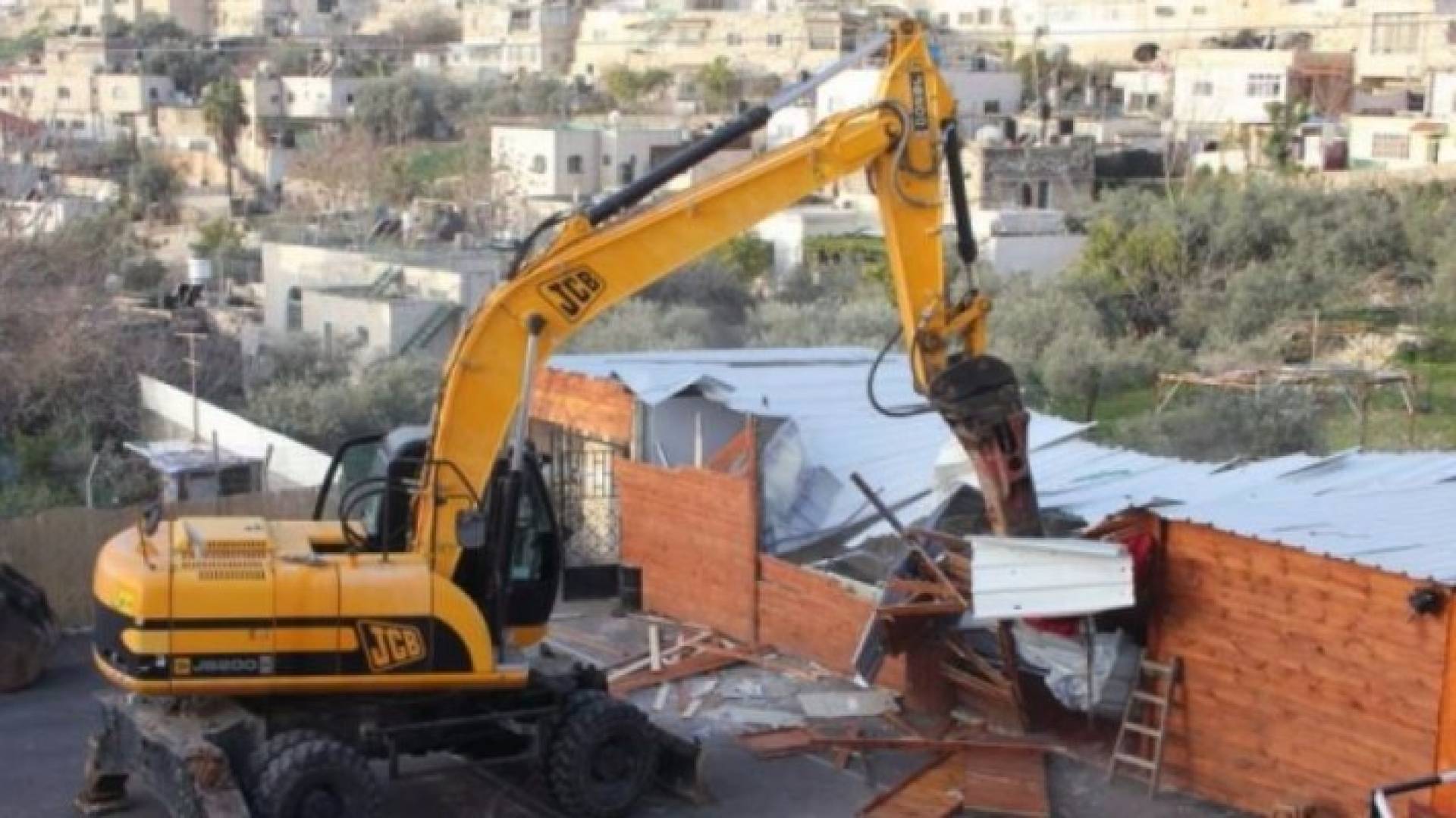 ارشيفية