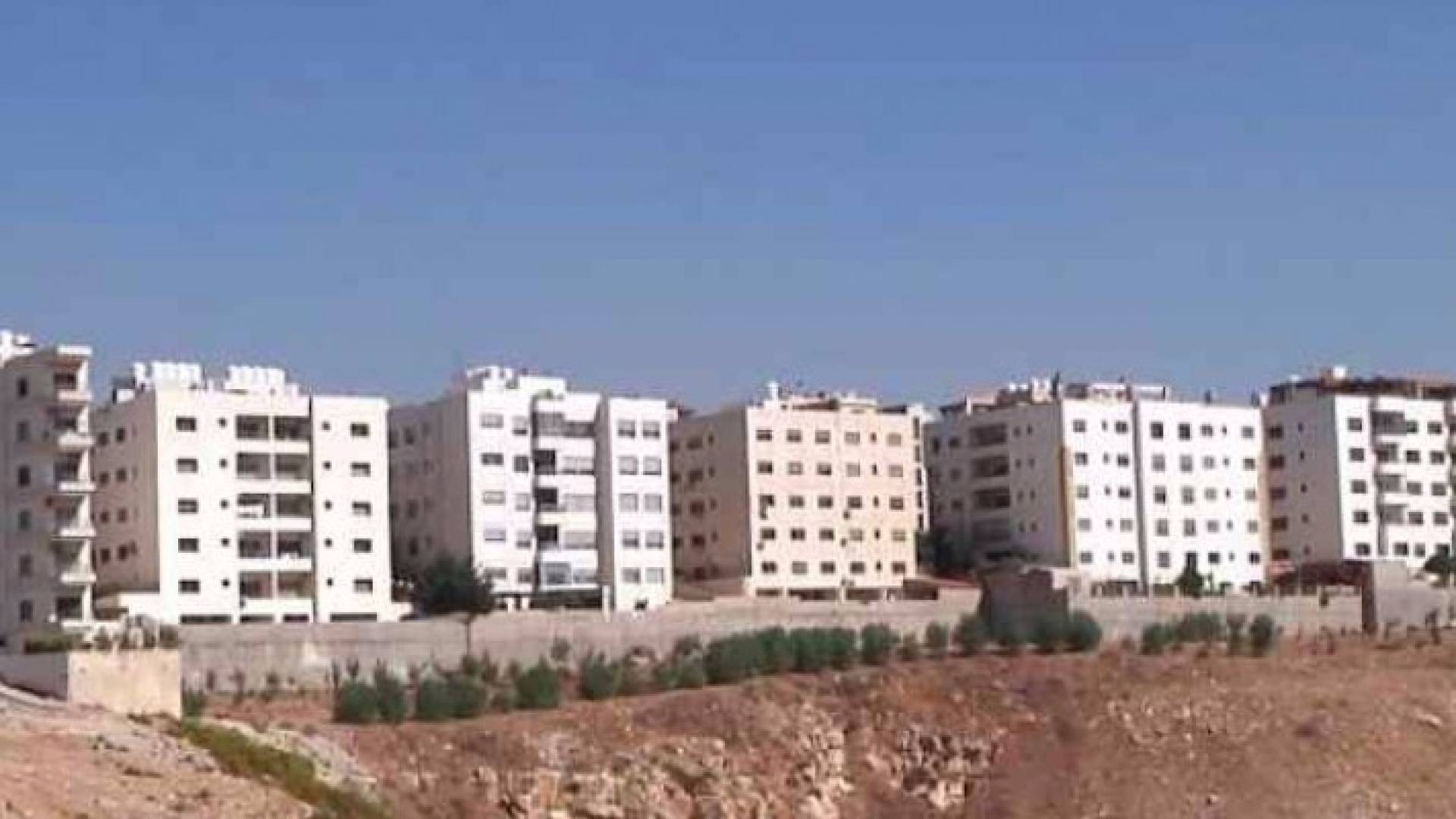 ارشيفية 