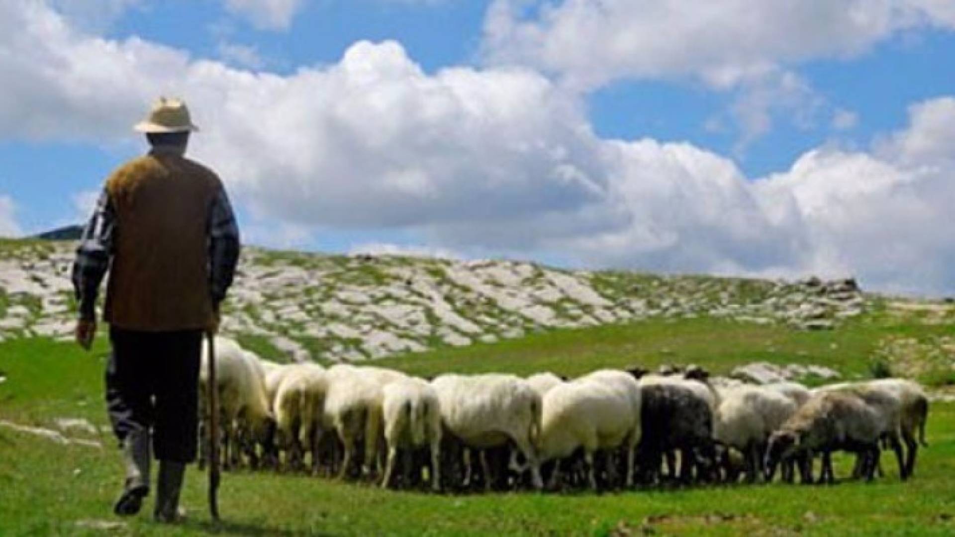 الصورة تعبيرية