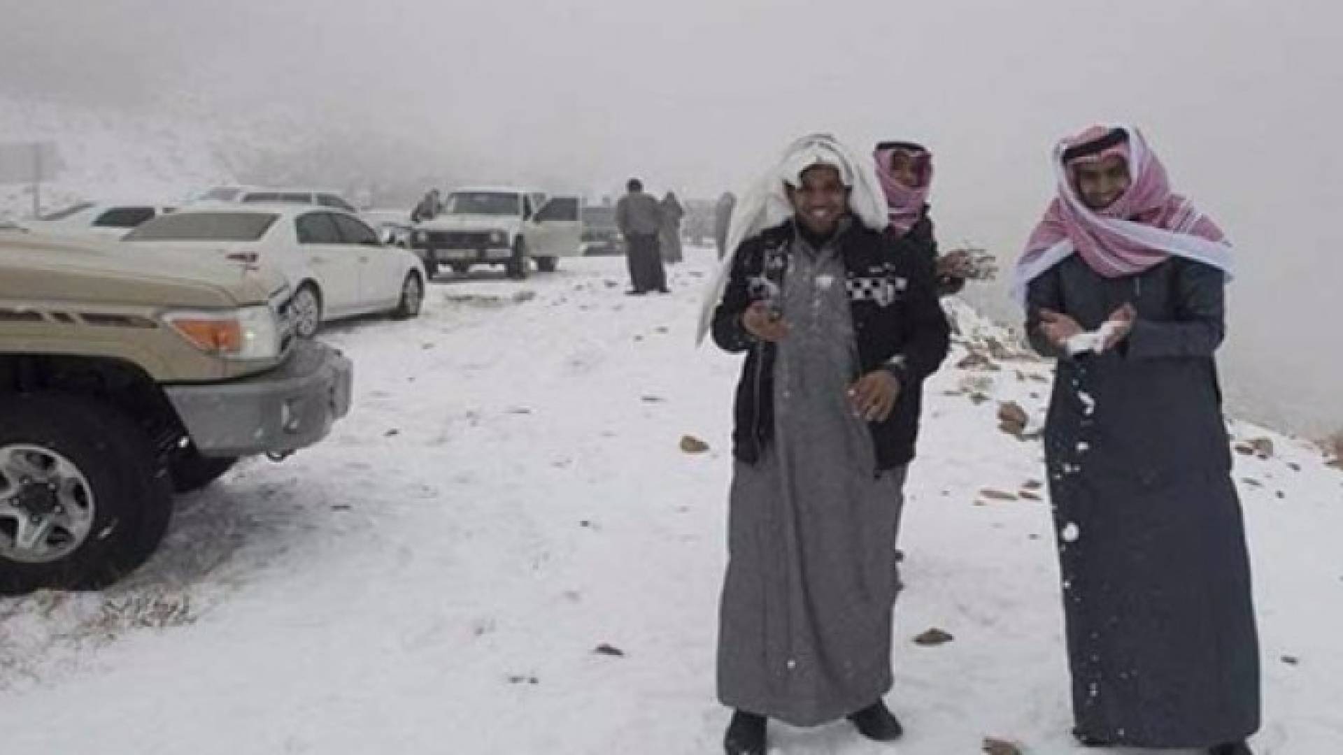 ارشيفية