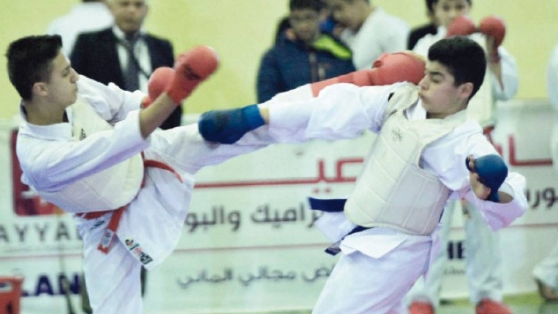 ارشيفية