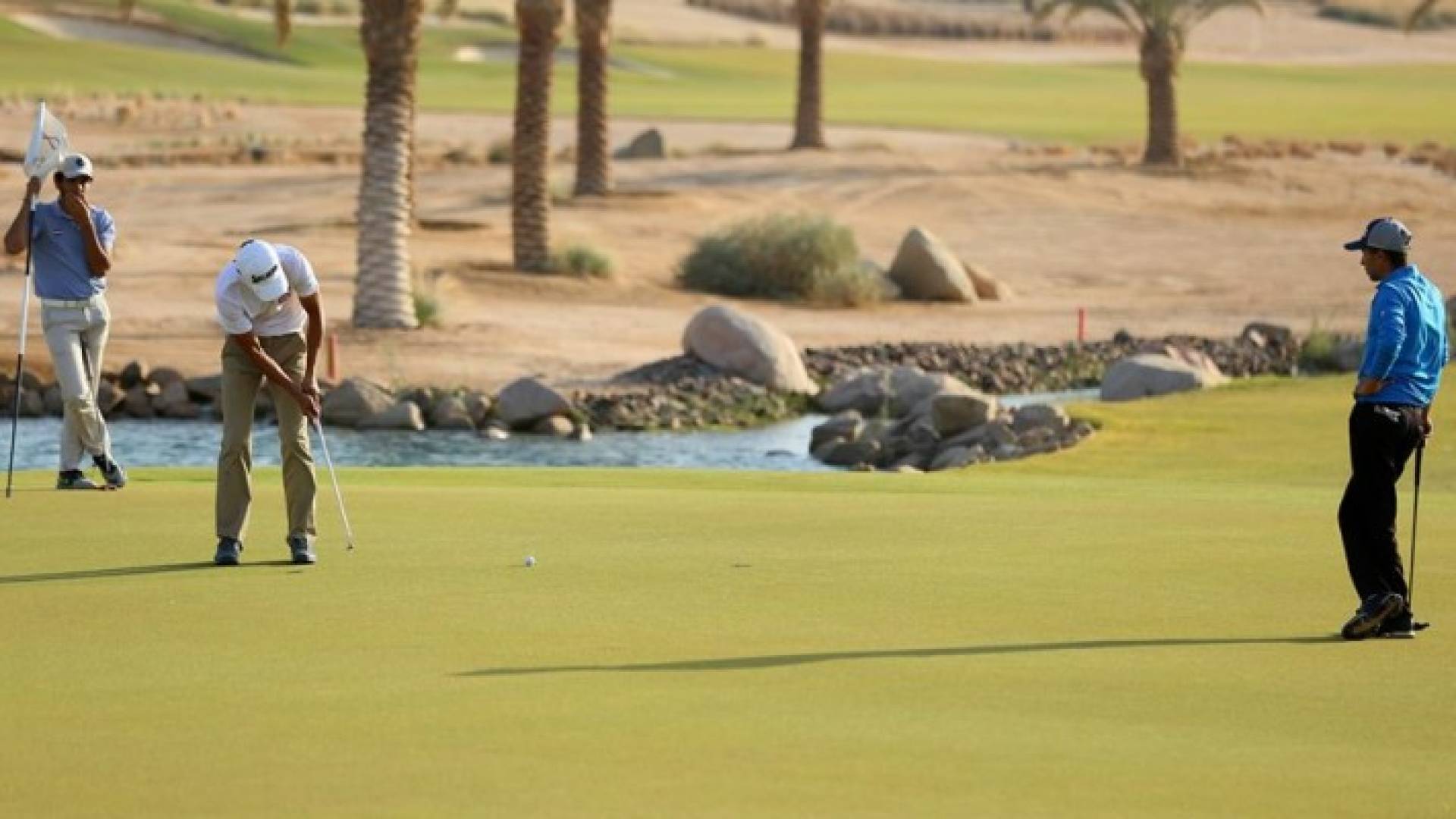 ارشيفية