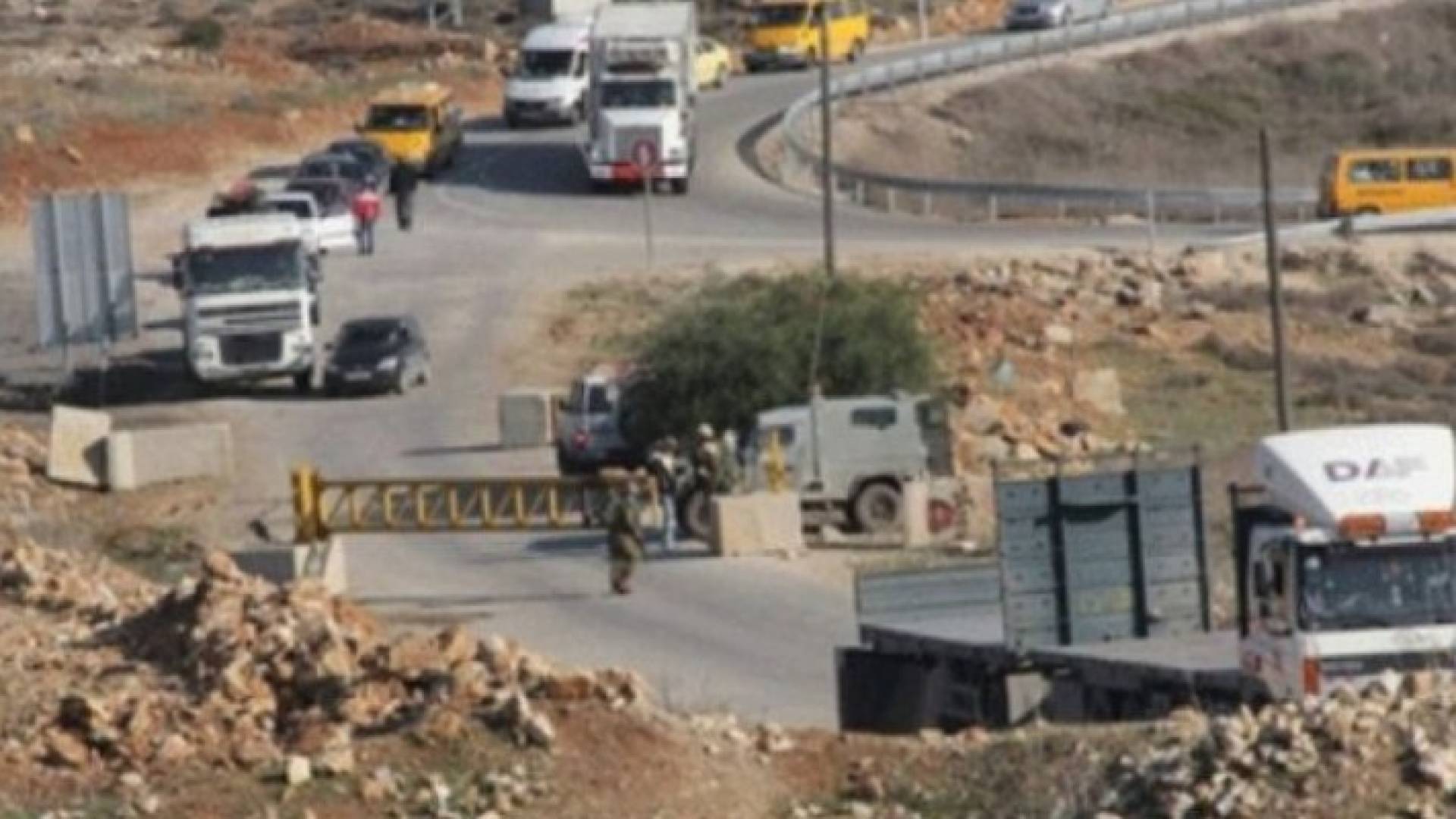 ارشيفية