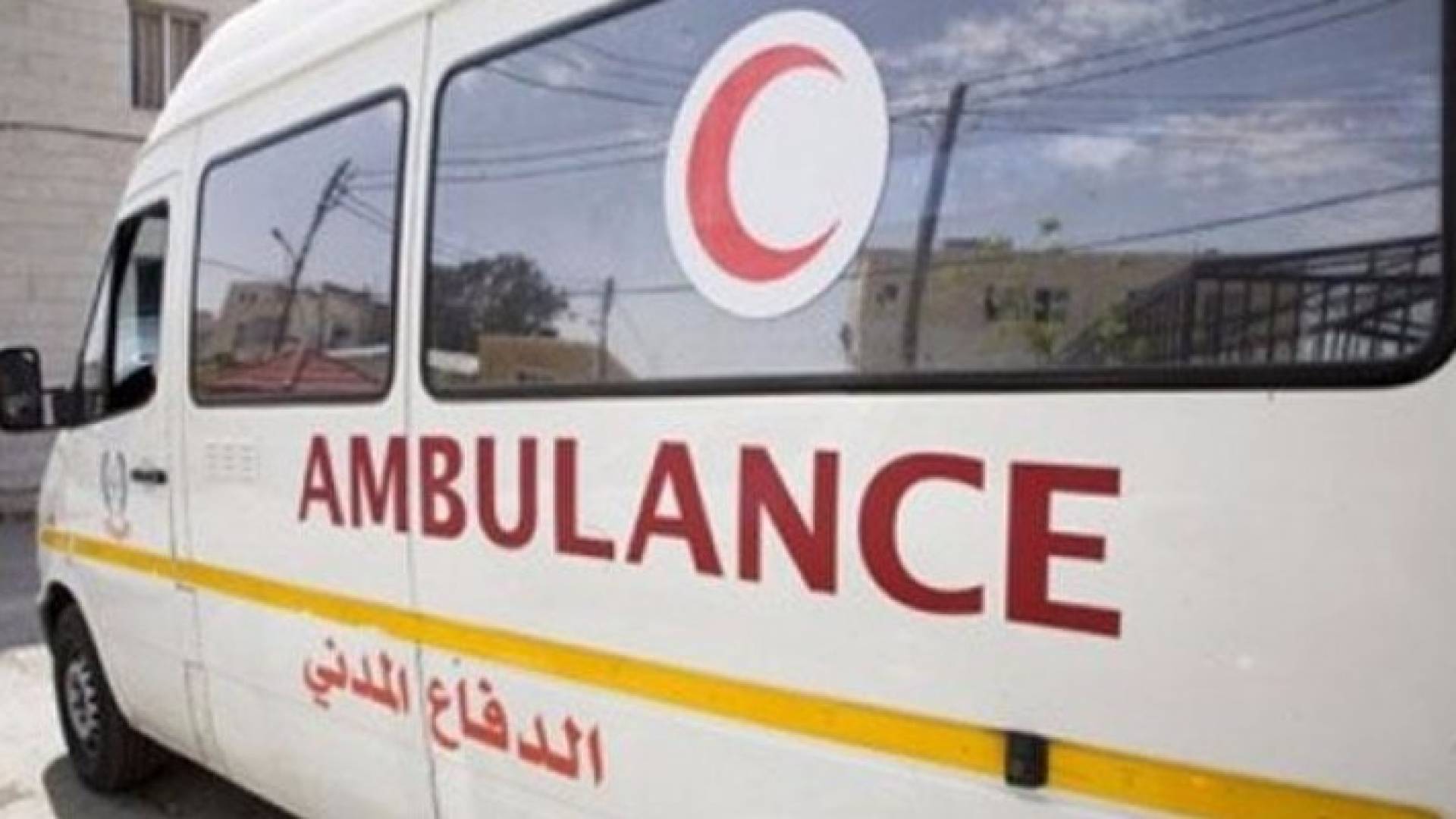 ارشيفية