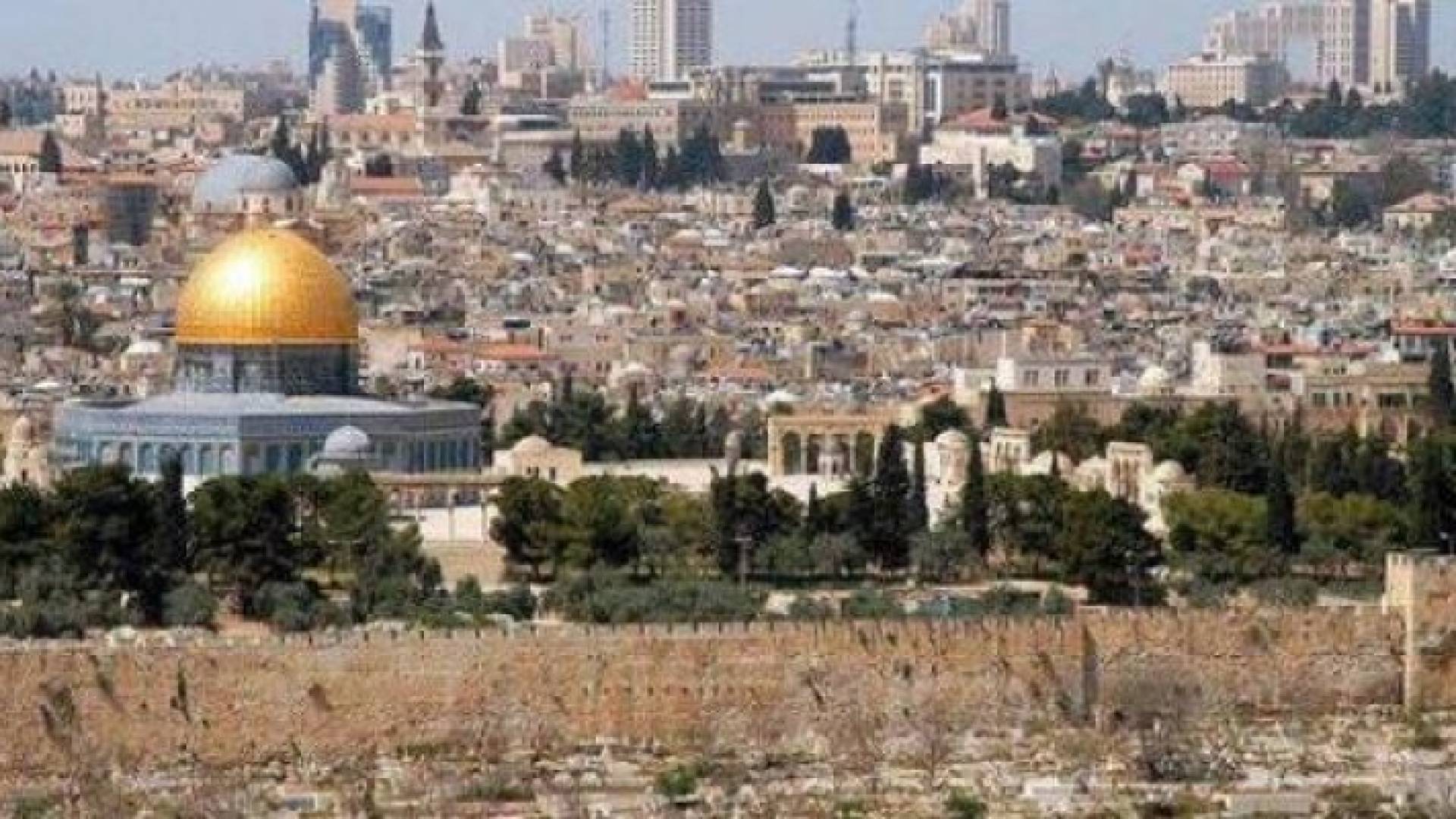 ارشيفية