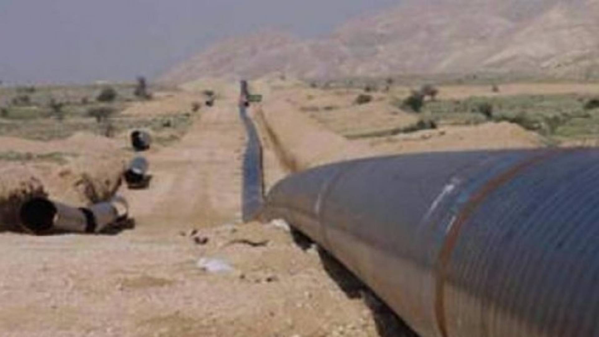 ارشيفية