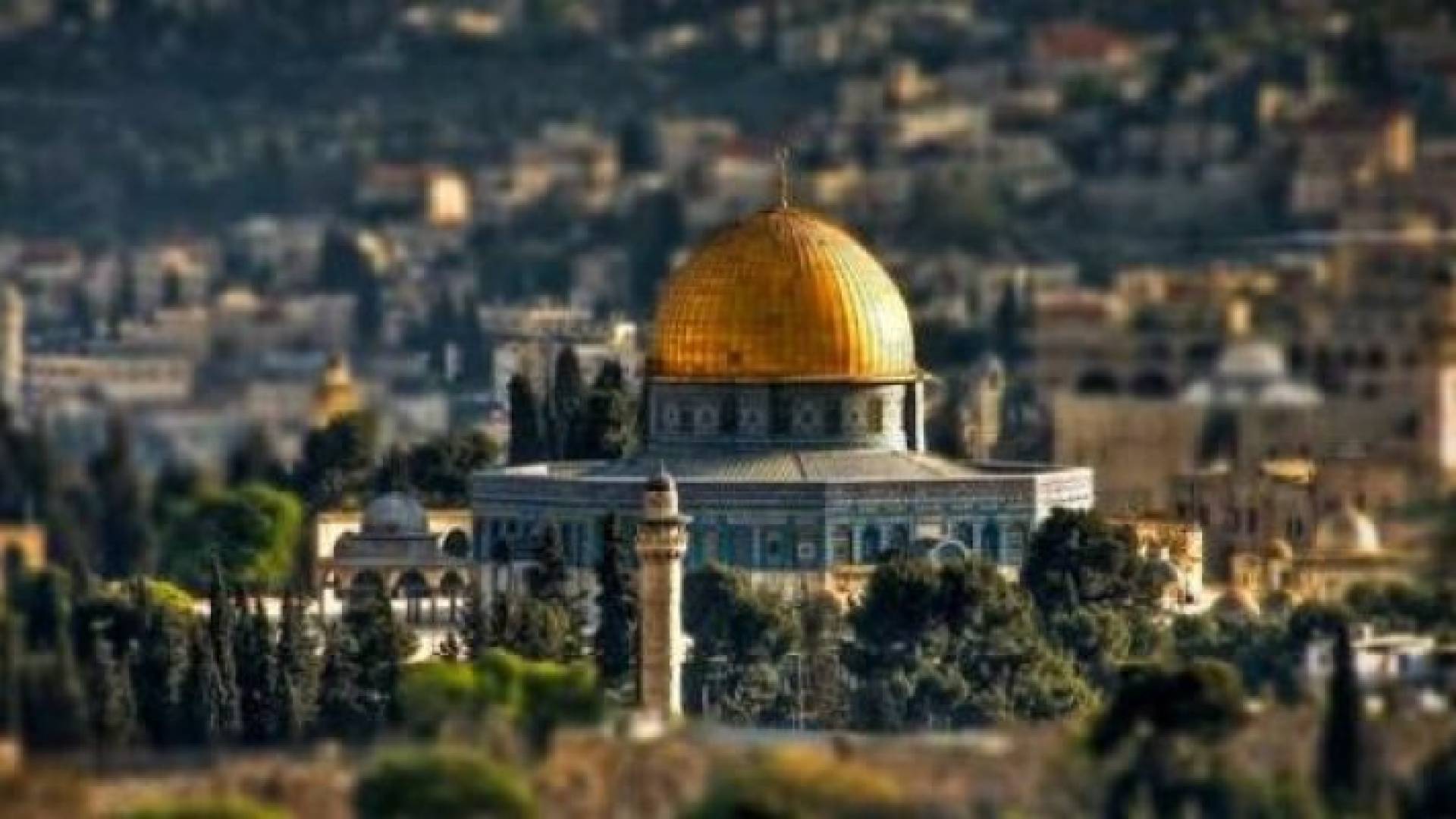 ارشيفية
