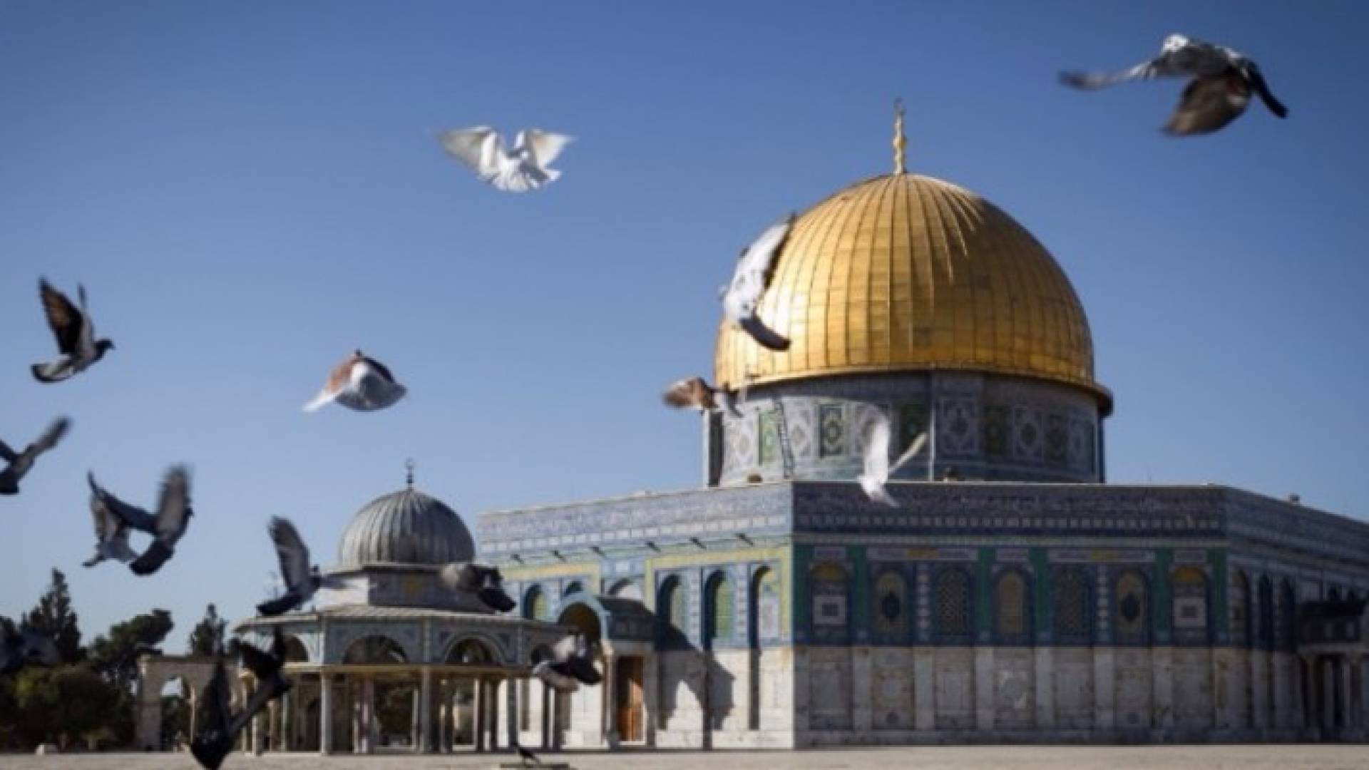 الصورة أرشيفية 