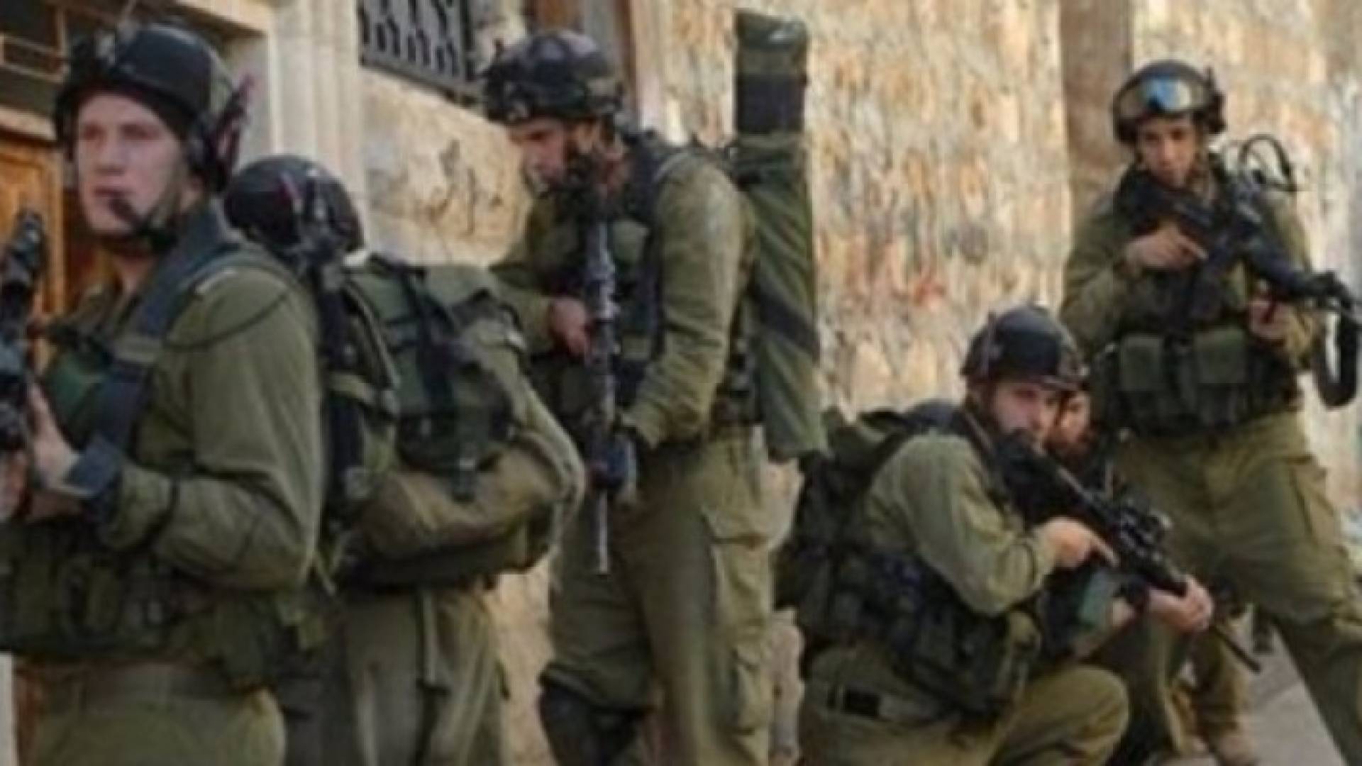 ارشيفية