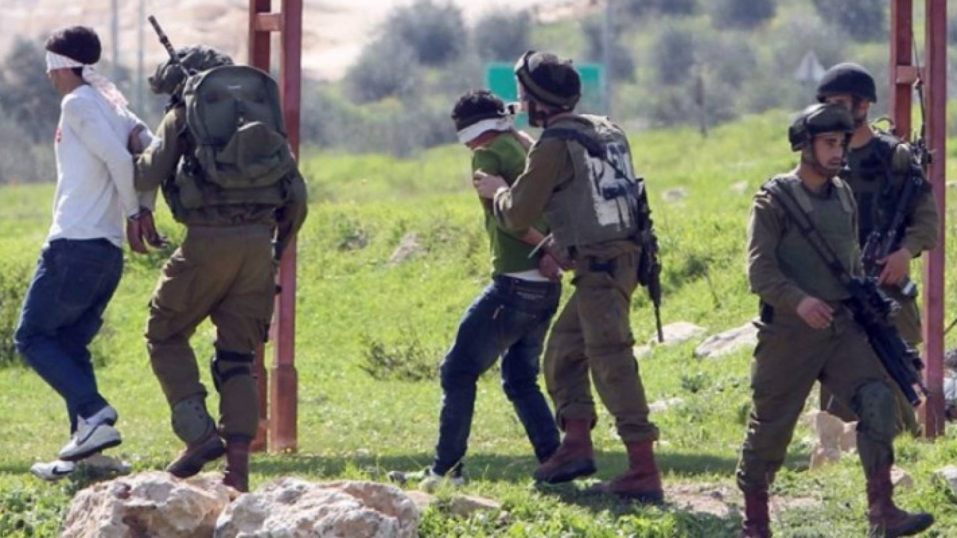 الصورة أرشيفية 