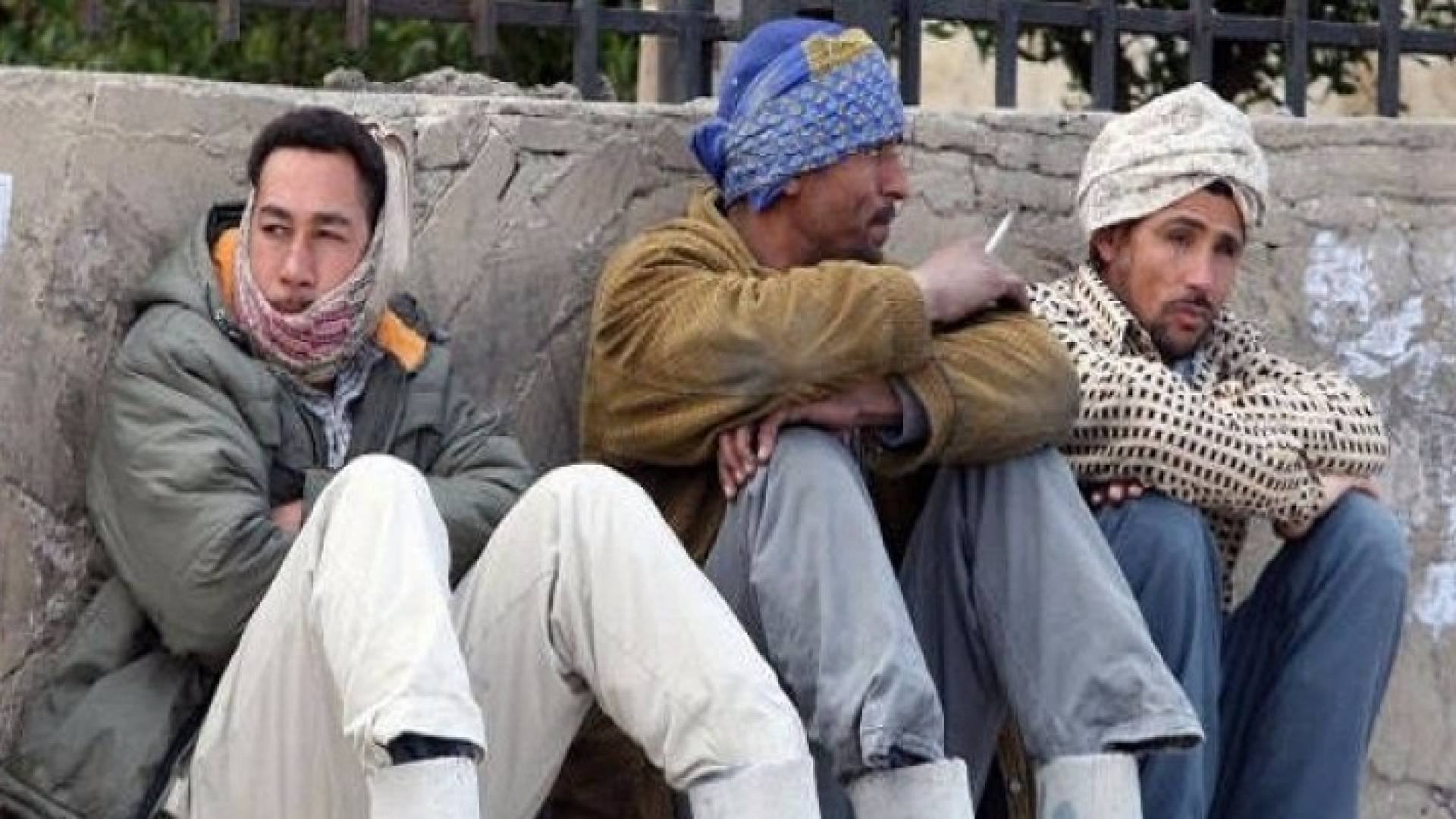 الصورة أرشيفية 