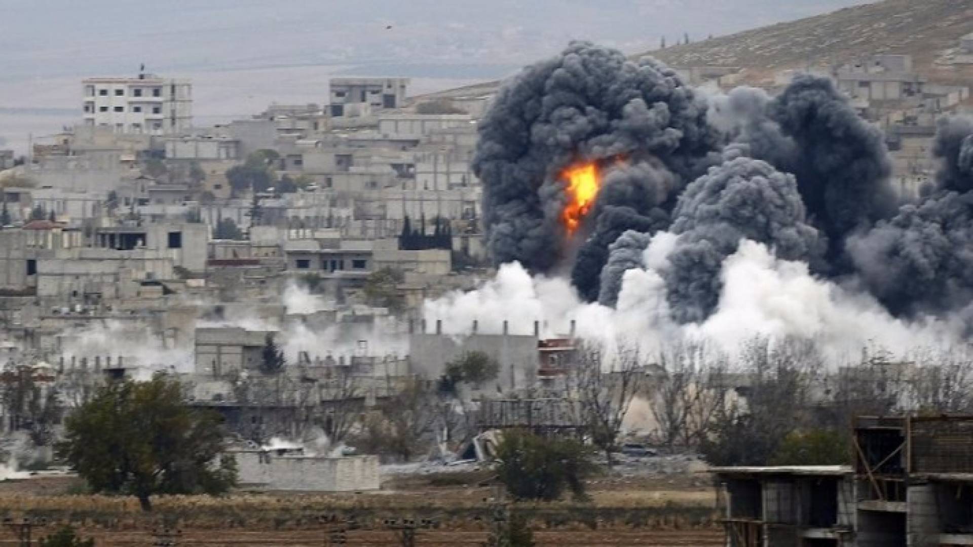ارشيفية