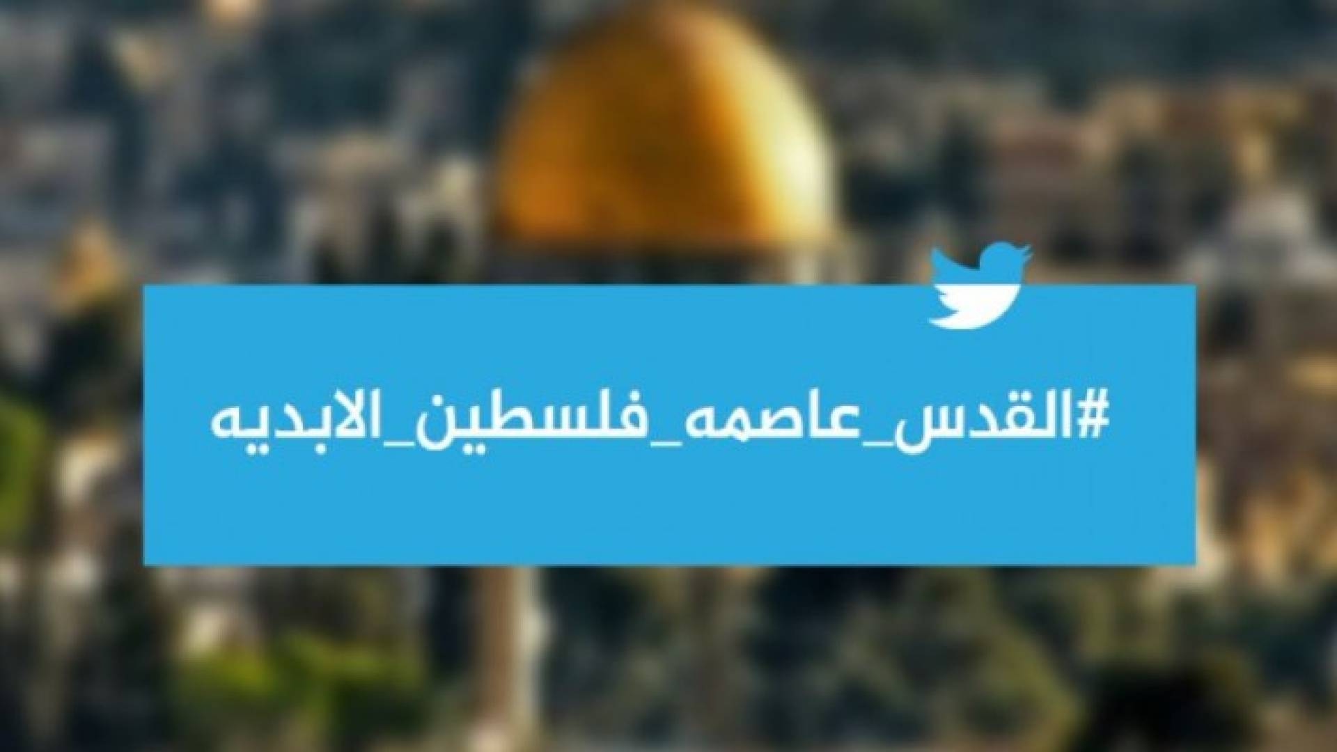 وسم "القدس عاصمة فلسطين الأبدية" 