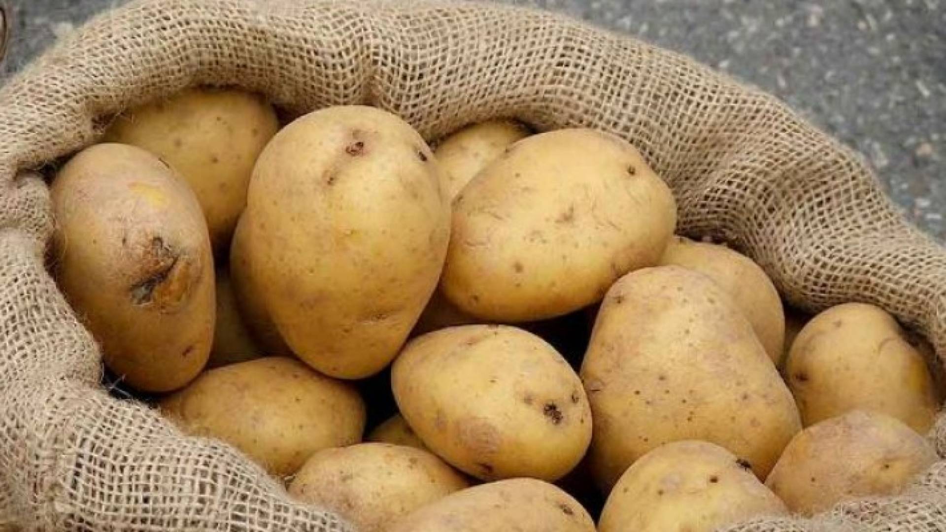 الصورة أرشيفية 