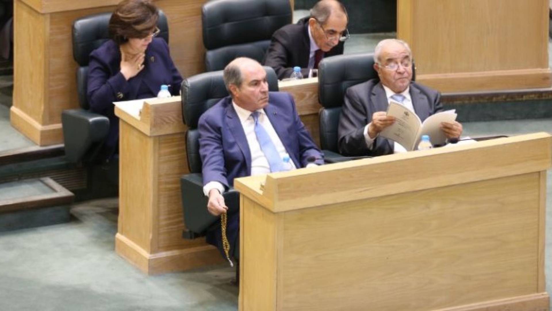 رئيس الوزراء هاني الملقي