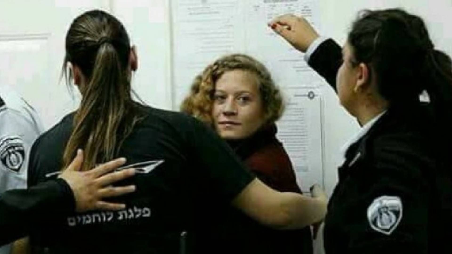 الفتاة عهد التميمي