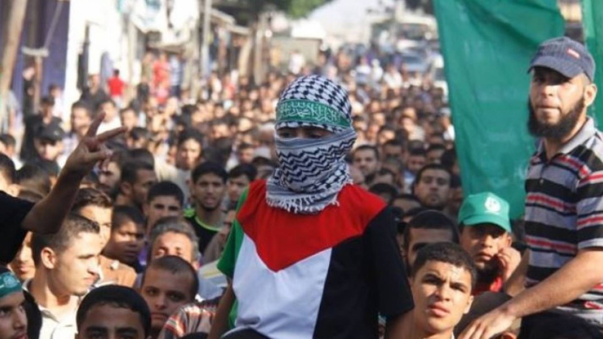 ارشيفية 
