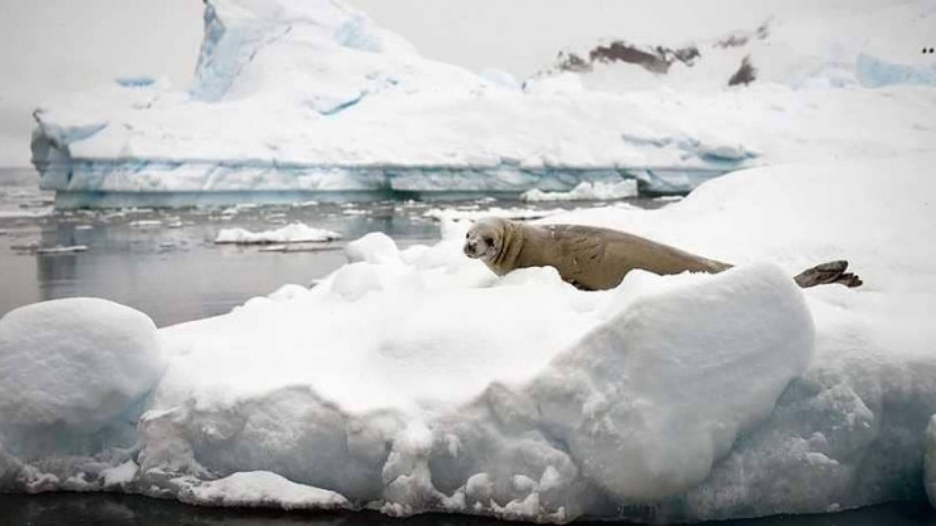 العثور على بقايا حيوان بحري عاش قبل 150 مليون سنة