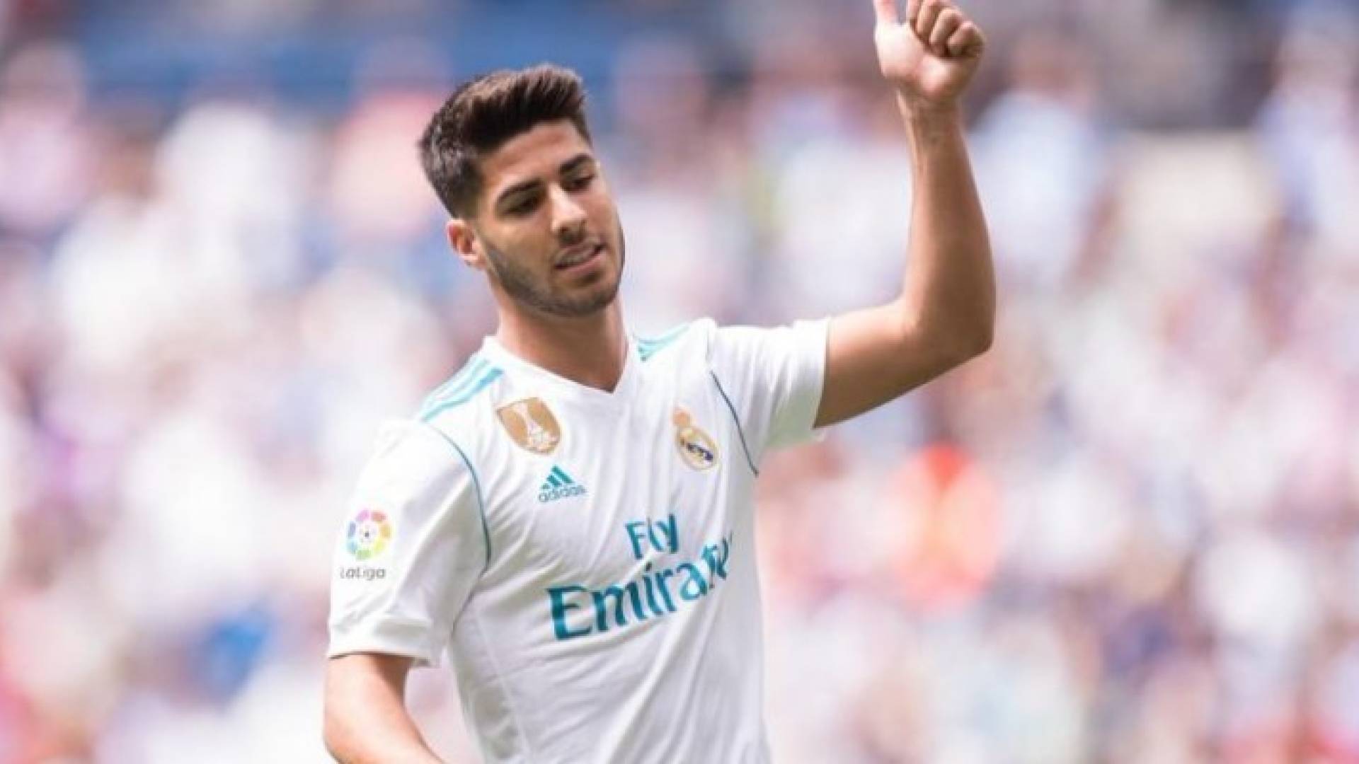 ارشيفية