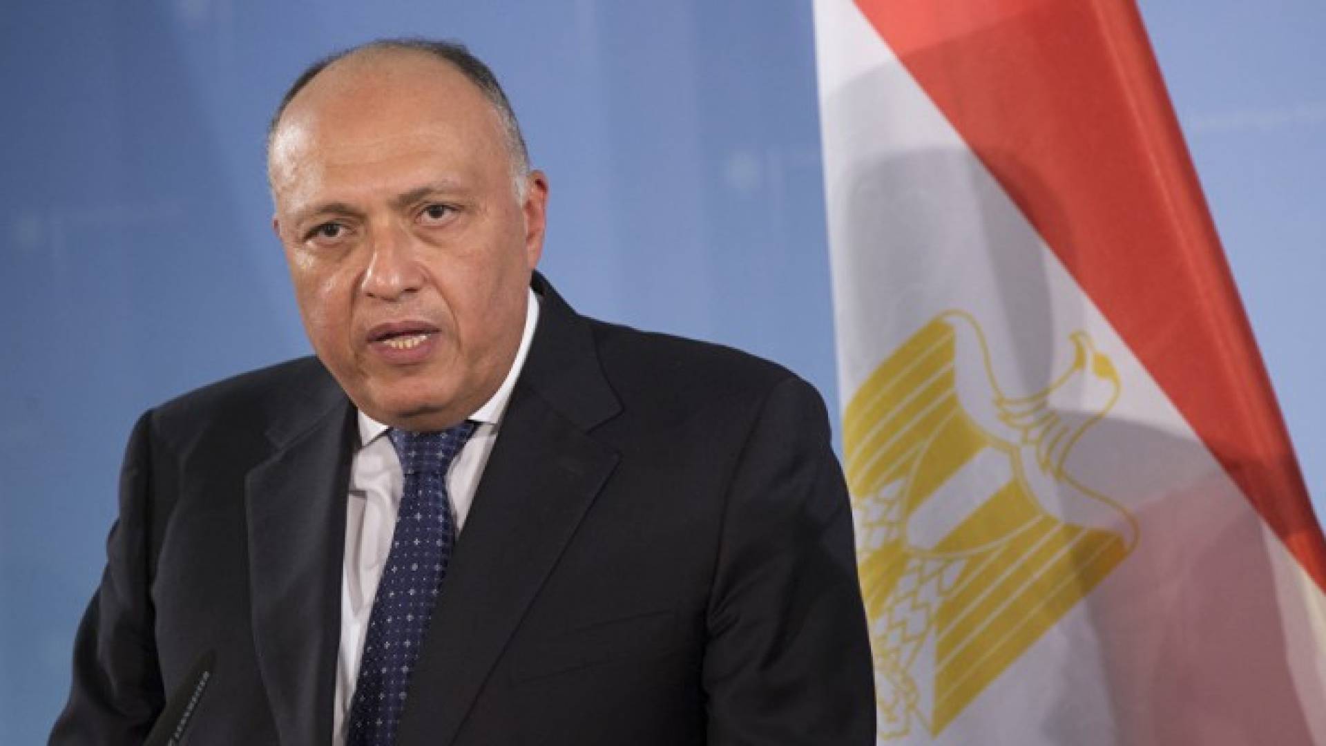 وزير الخارجية المصري سامح شكري