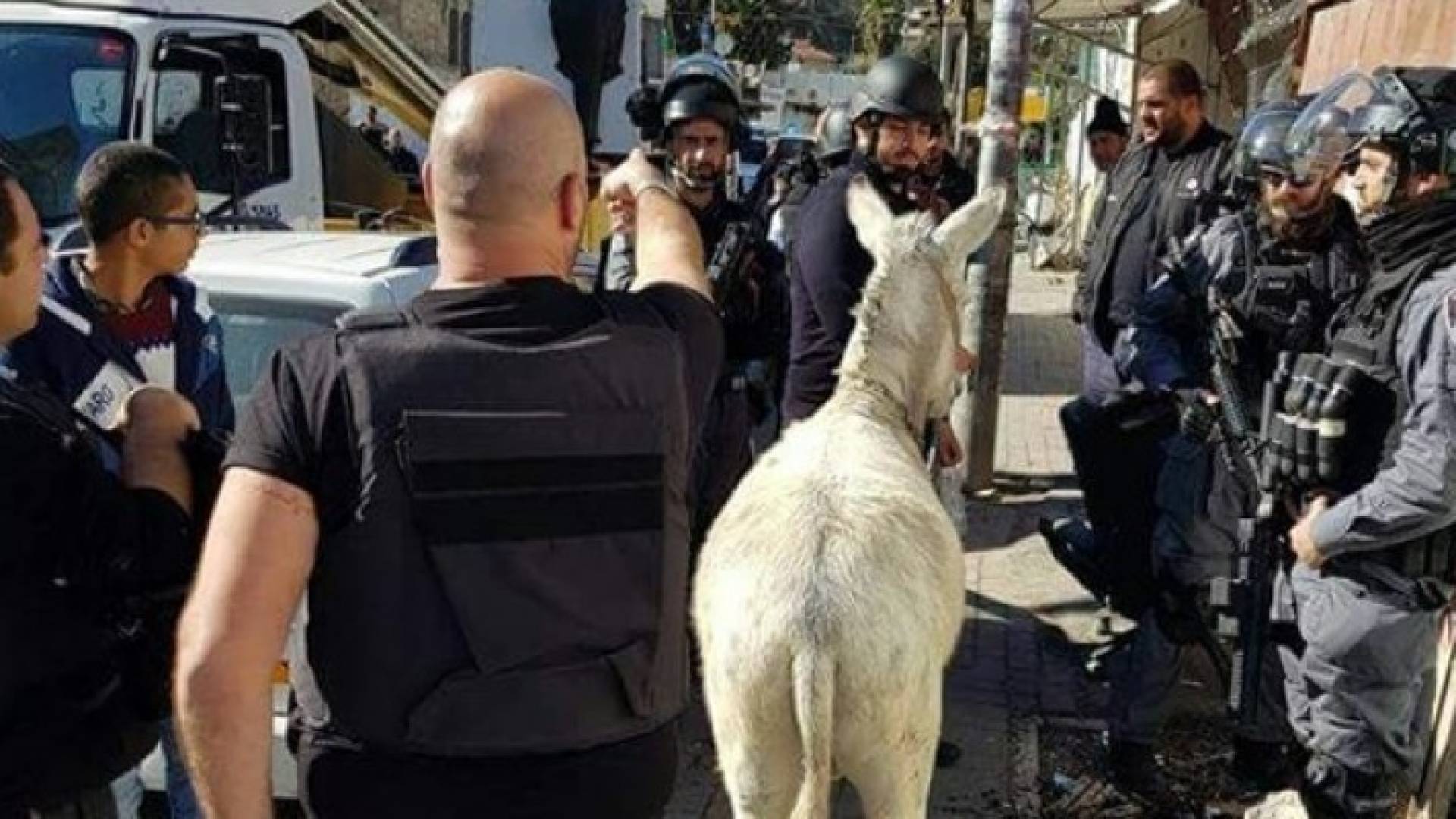 قامت قوات الاحتلال برفقة طواقم البلدية باحتجاز الحمار ومالكه دون سبب