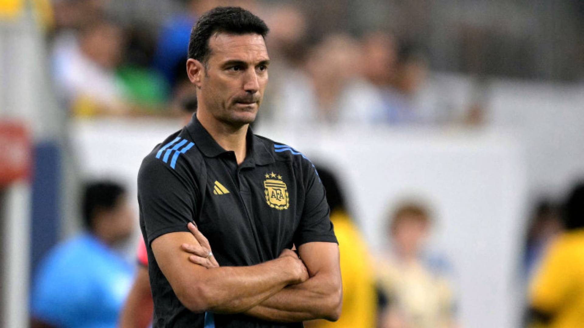 المدير الفني لمنتخب الأرجنتين، ليونيل سكالوني
