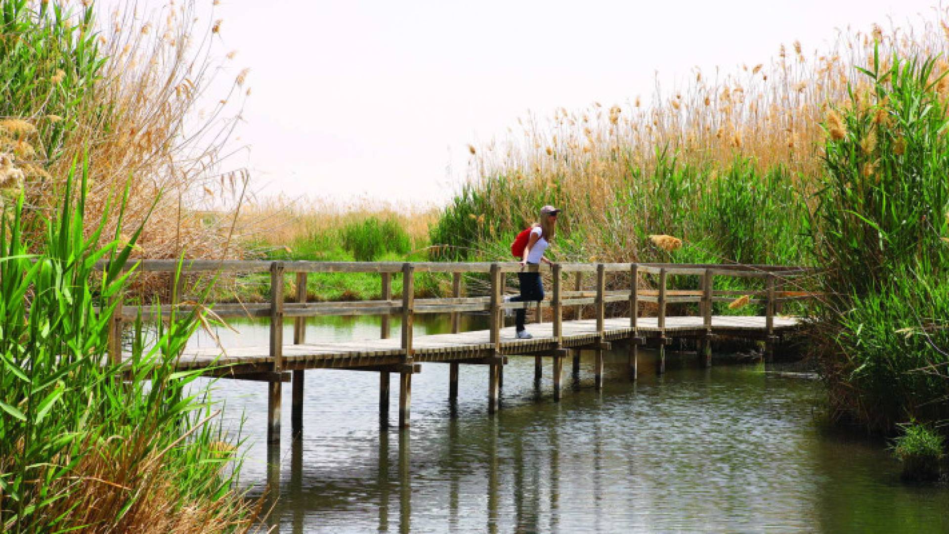 جانب من محمية الأزرق - أرشيفية