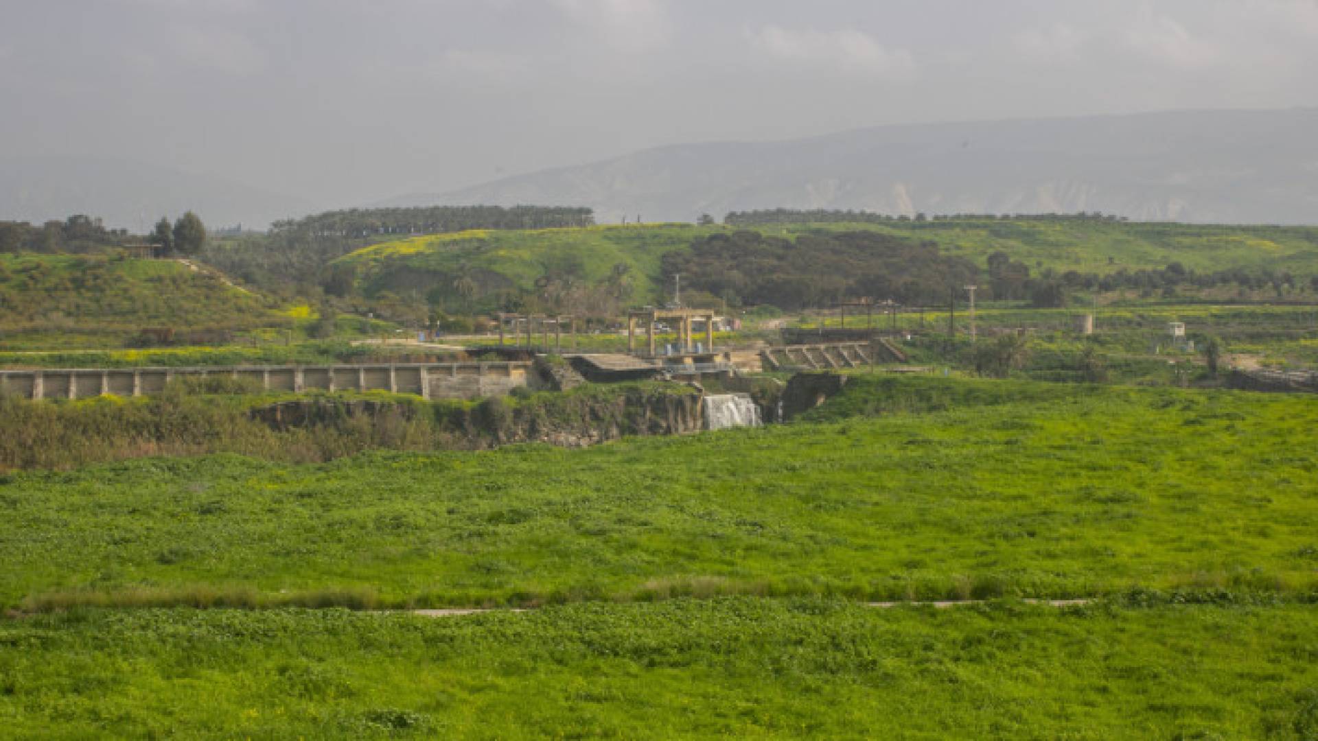 محافظة إربد