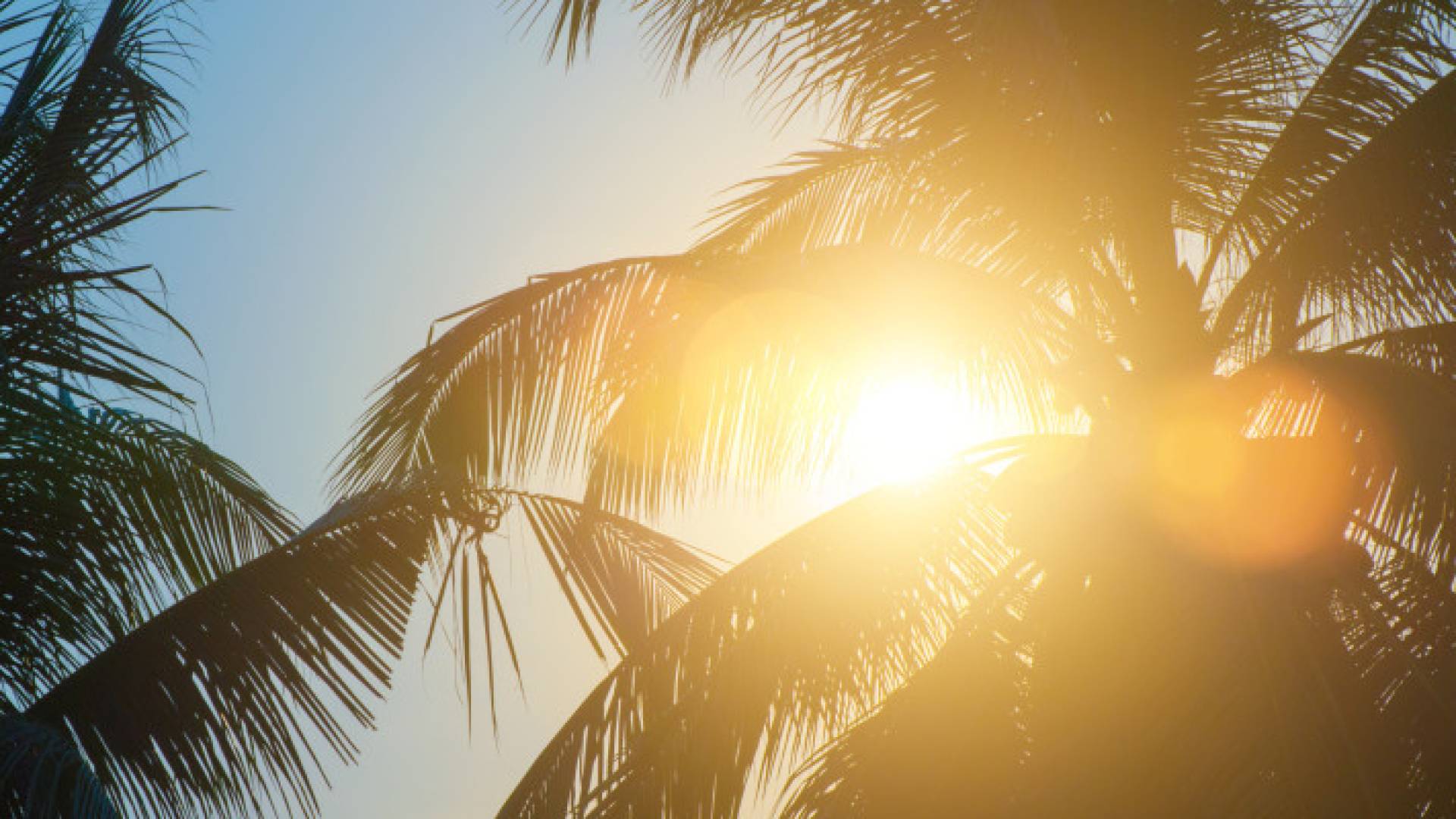 شمس مشرقة "أرشيفية"