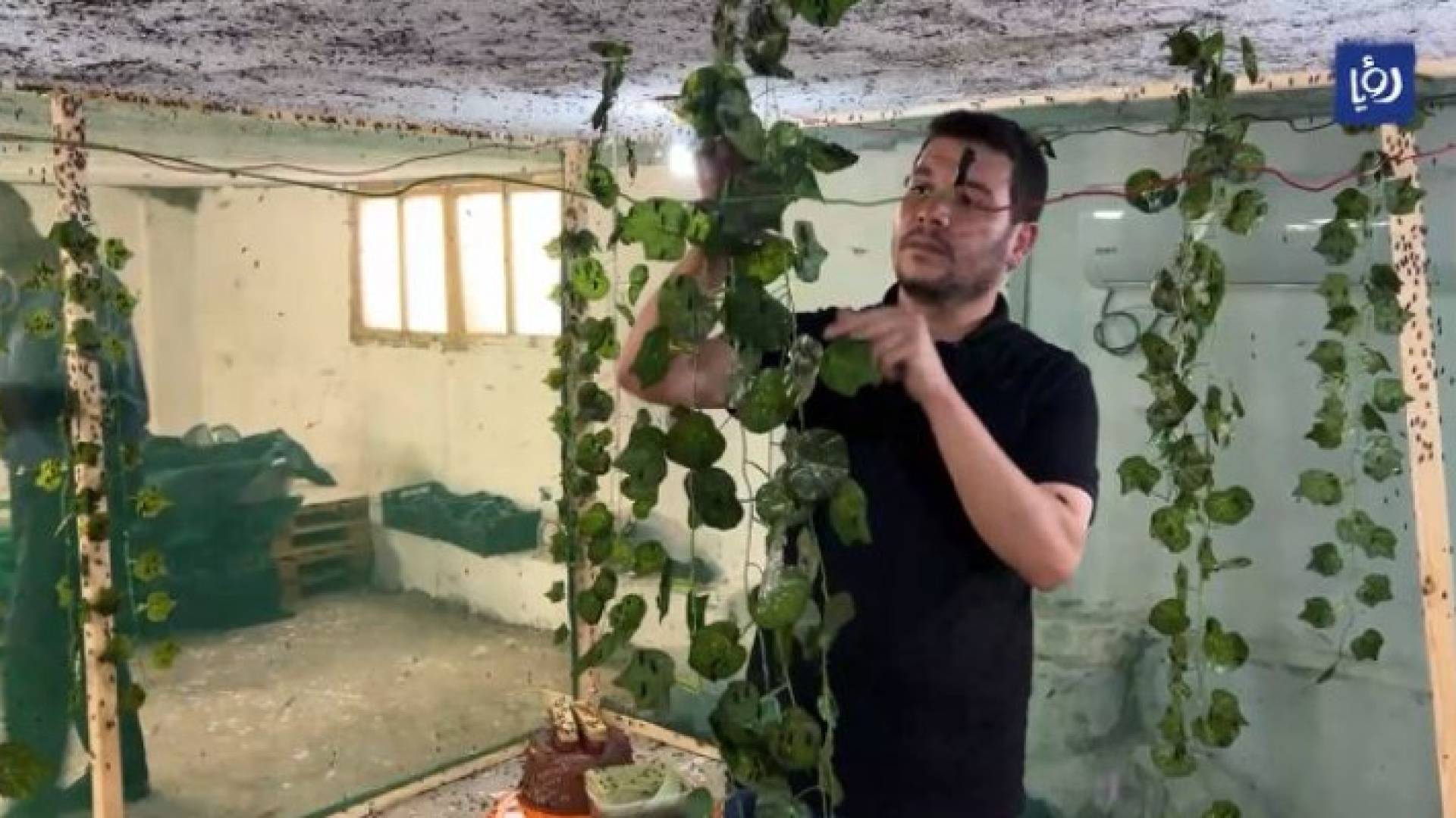 المهندس عمار الرفوع