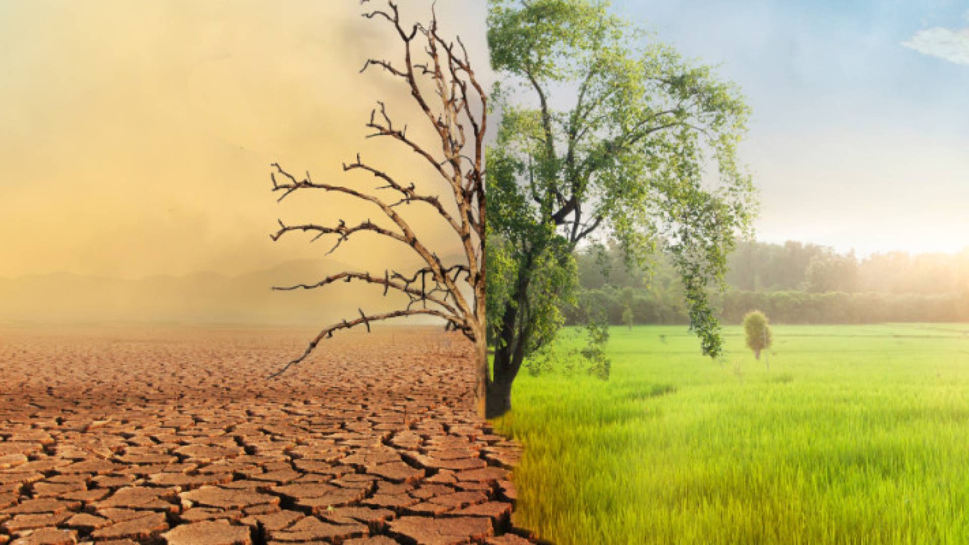 التغير المناخي وتأثيره - تعبيرية