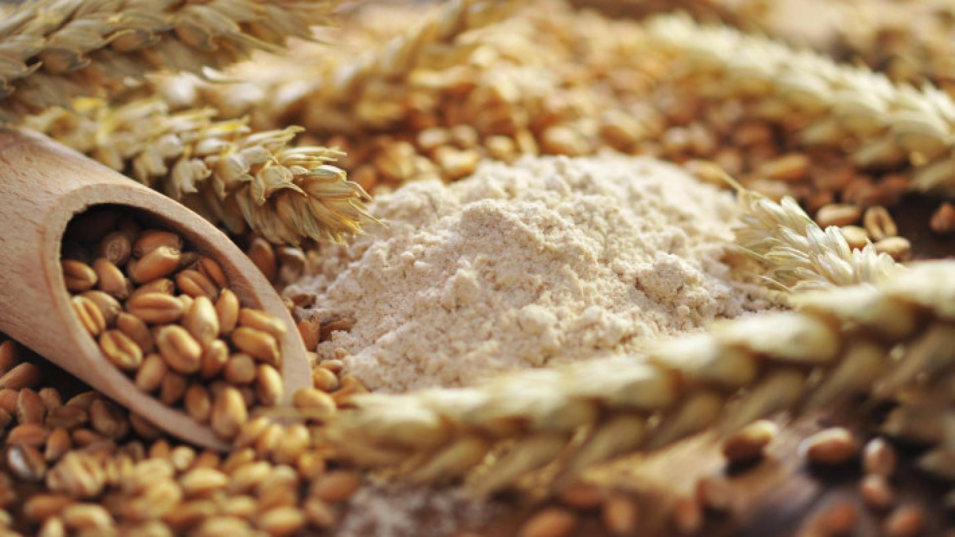 كميات من القمح