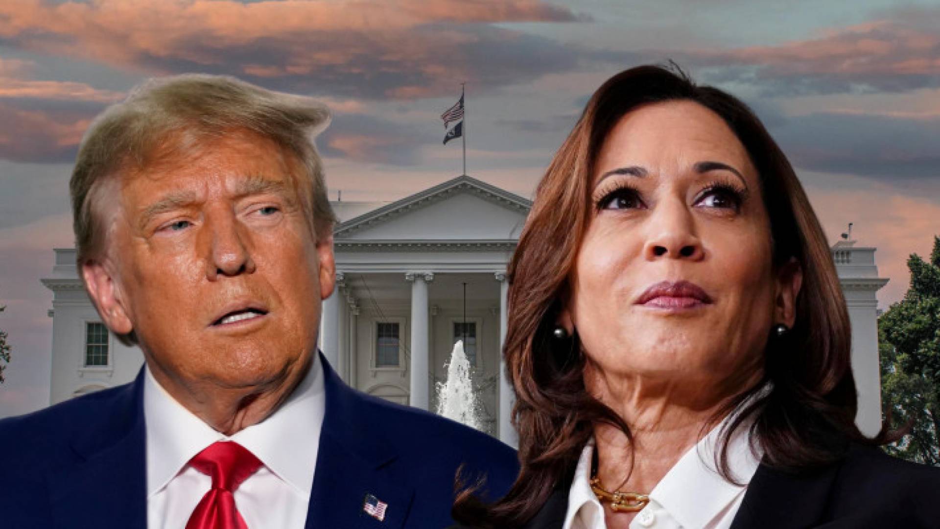 هاريس وترمب