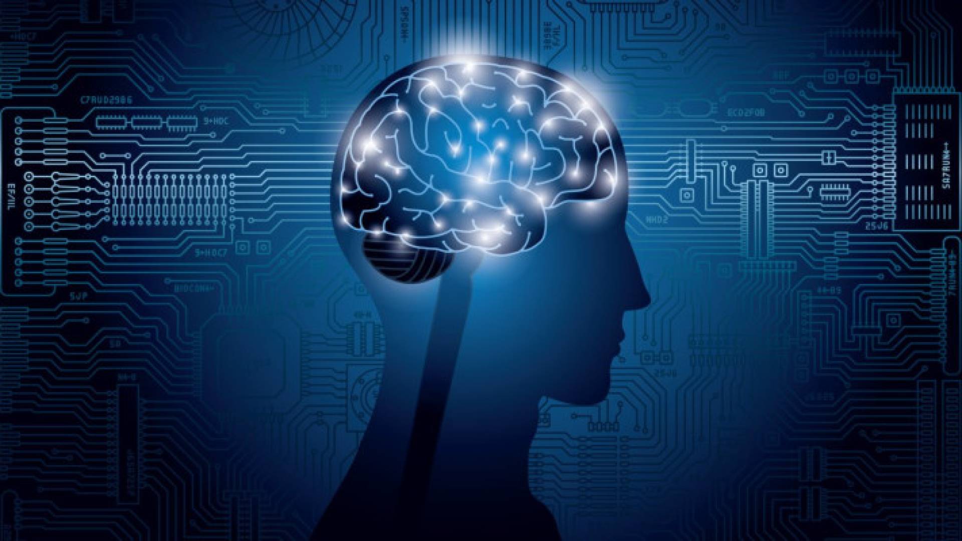 التكنولوجيا والدماغ البشري