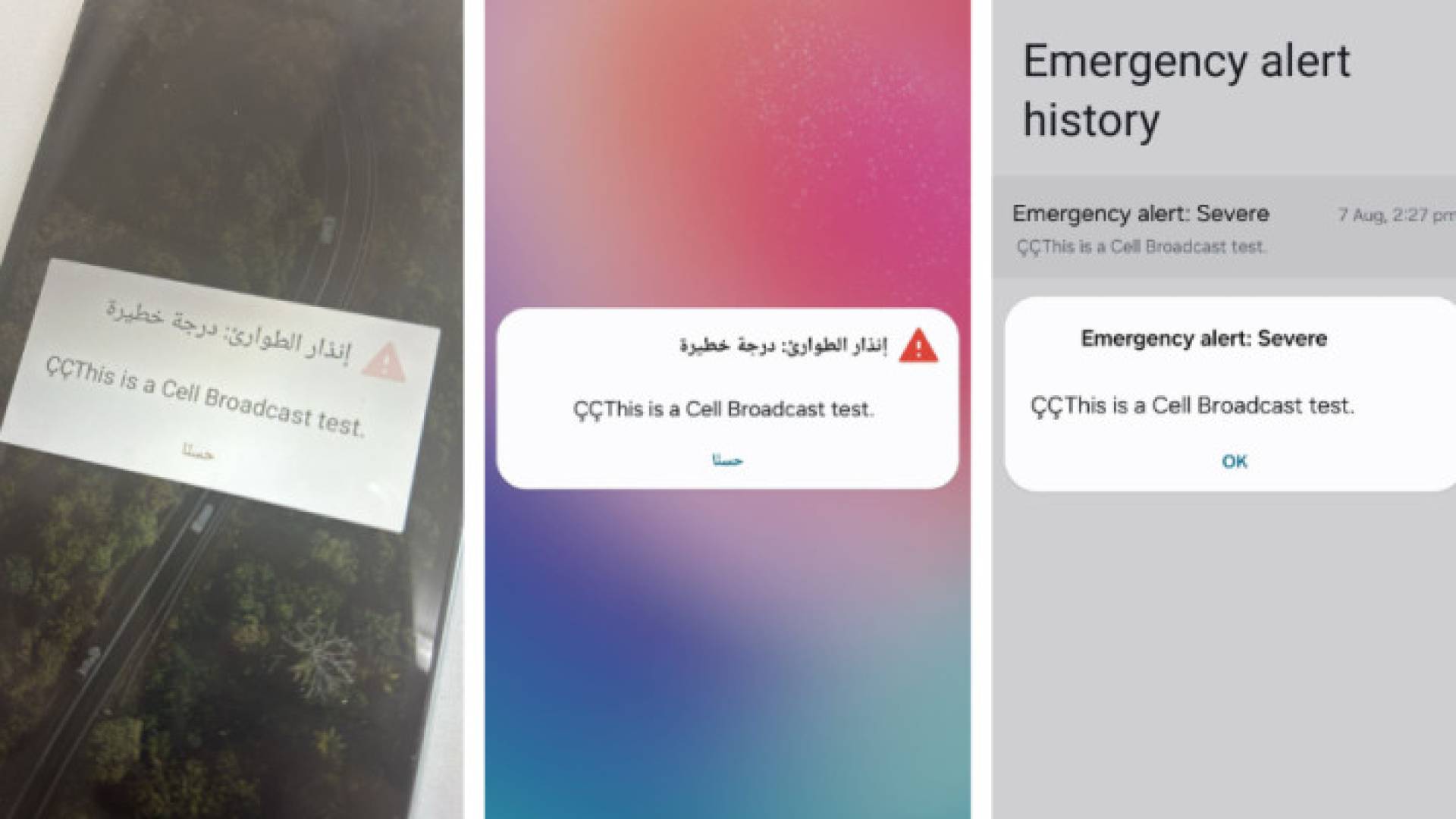 صور ملتقطة عن شاشات هواتف مواطنين أردنيين تلقوا رسائل تحذيرية
