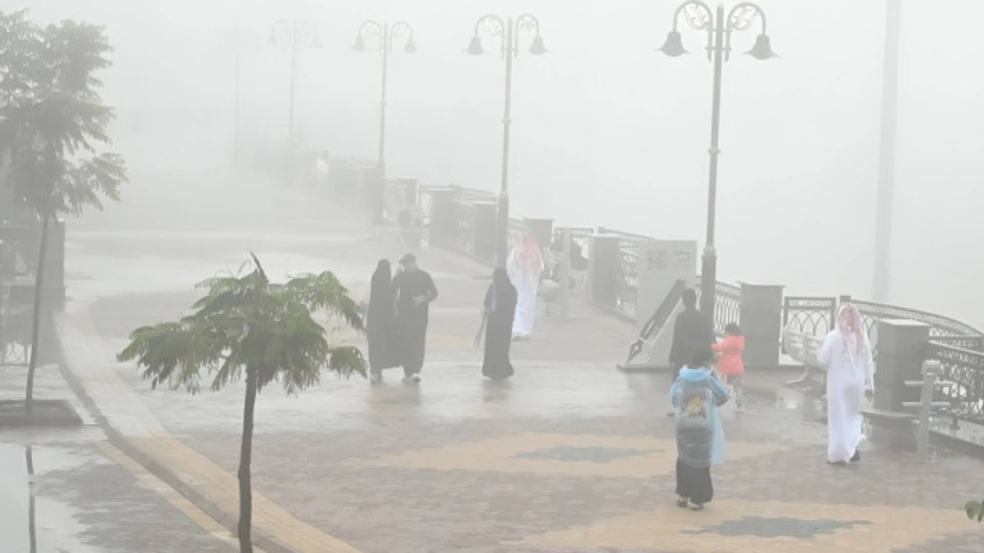 أمطار في السعودية